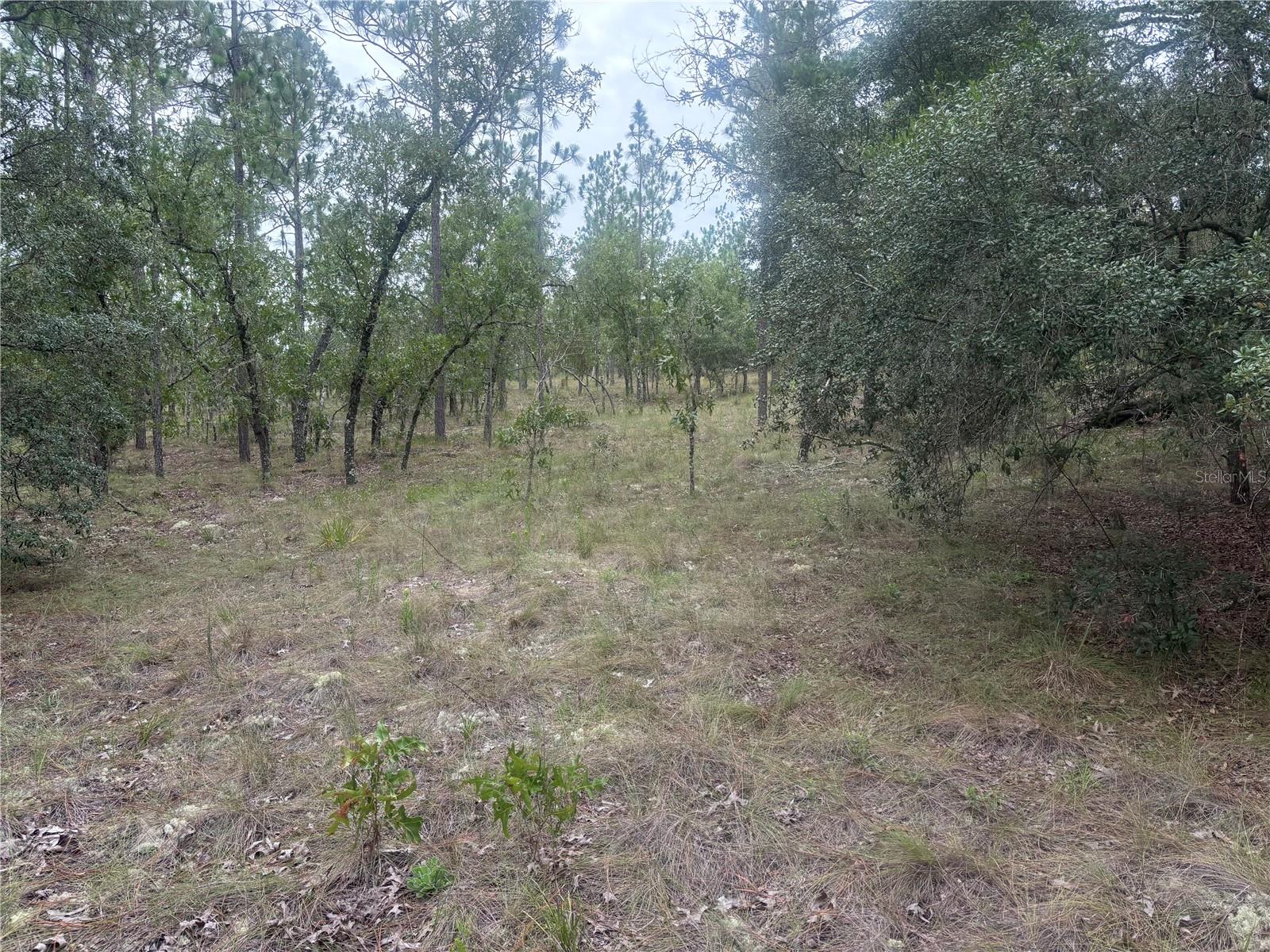 000 SE 129TH CT, DUNNELLON, FL, 34431