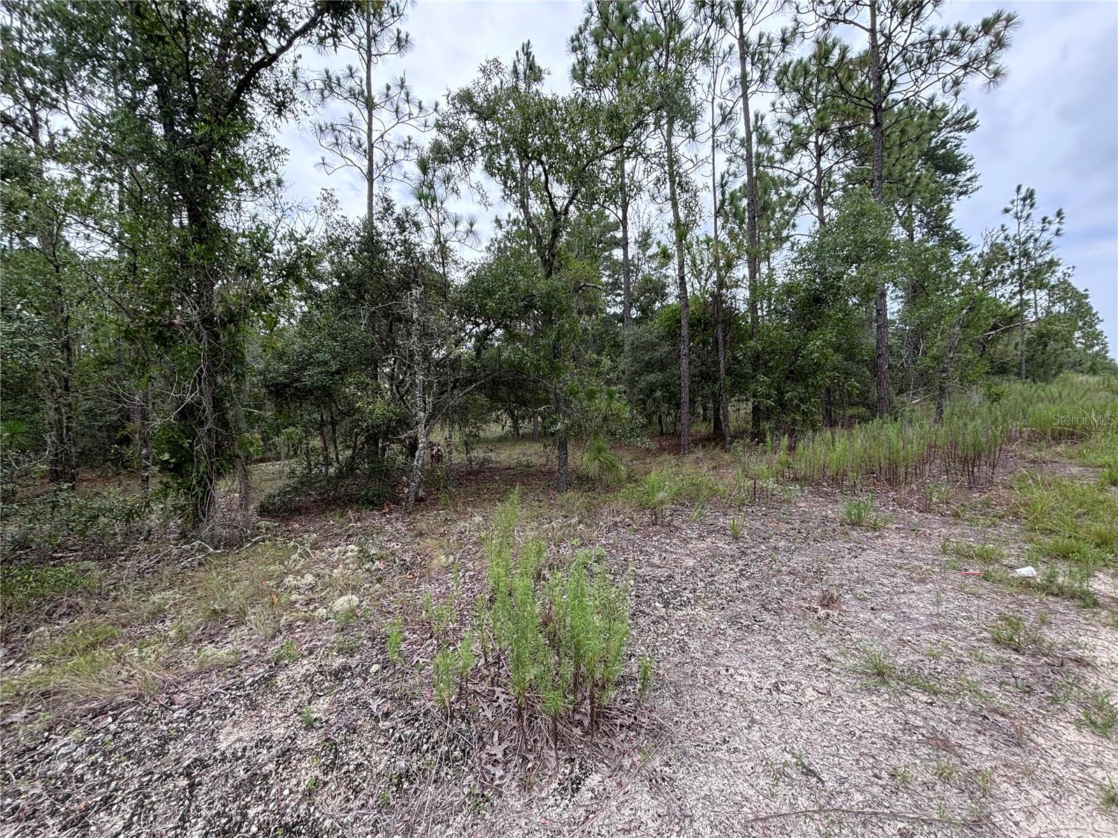 000 SE 129TH CT, DUNNELLON, FL, 34431
