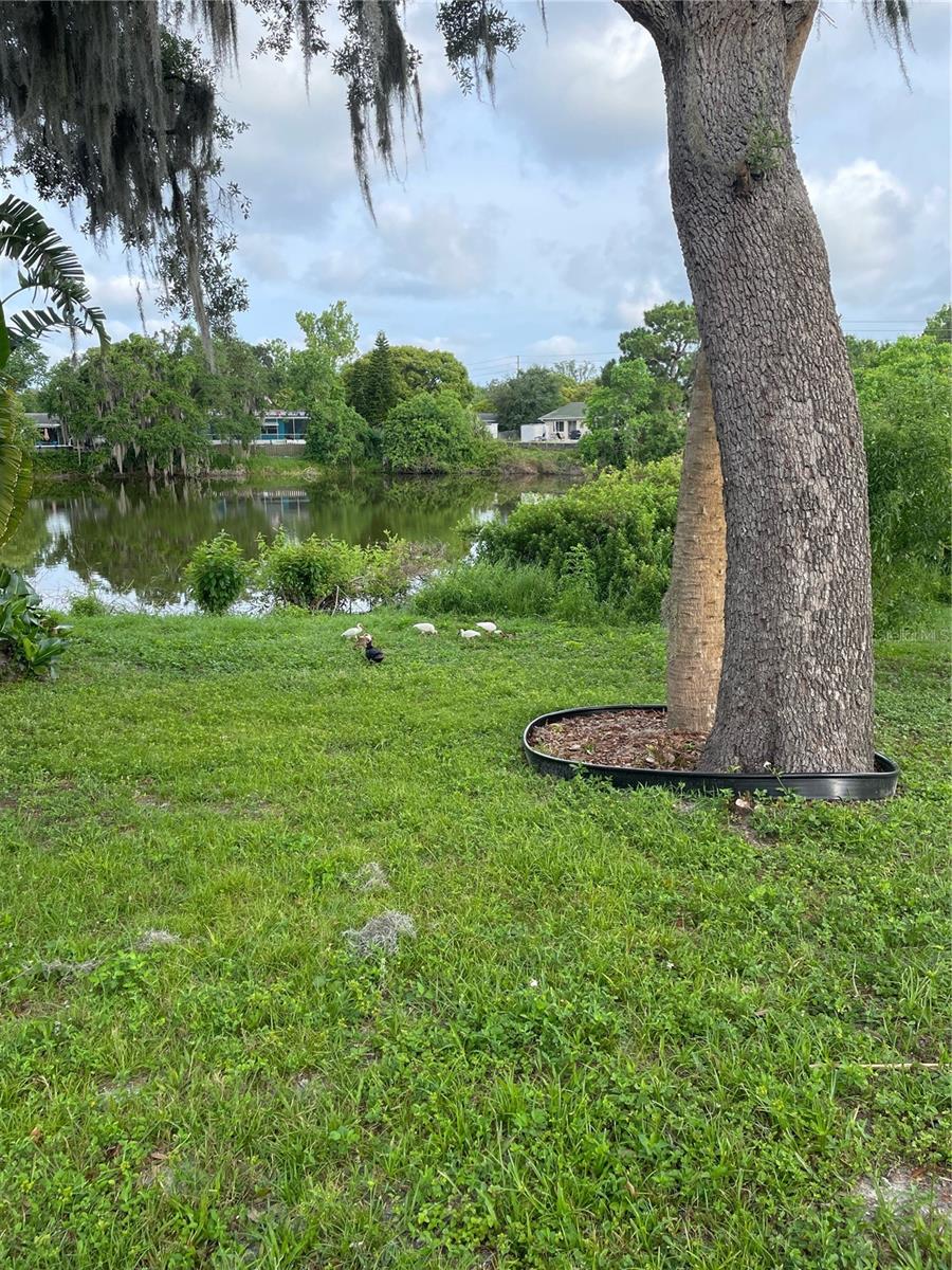 5736 COLONIAL DR, NEW PORT RICHEY, FL, 34653
