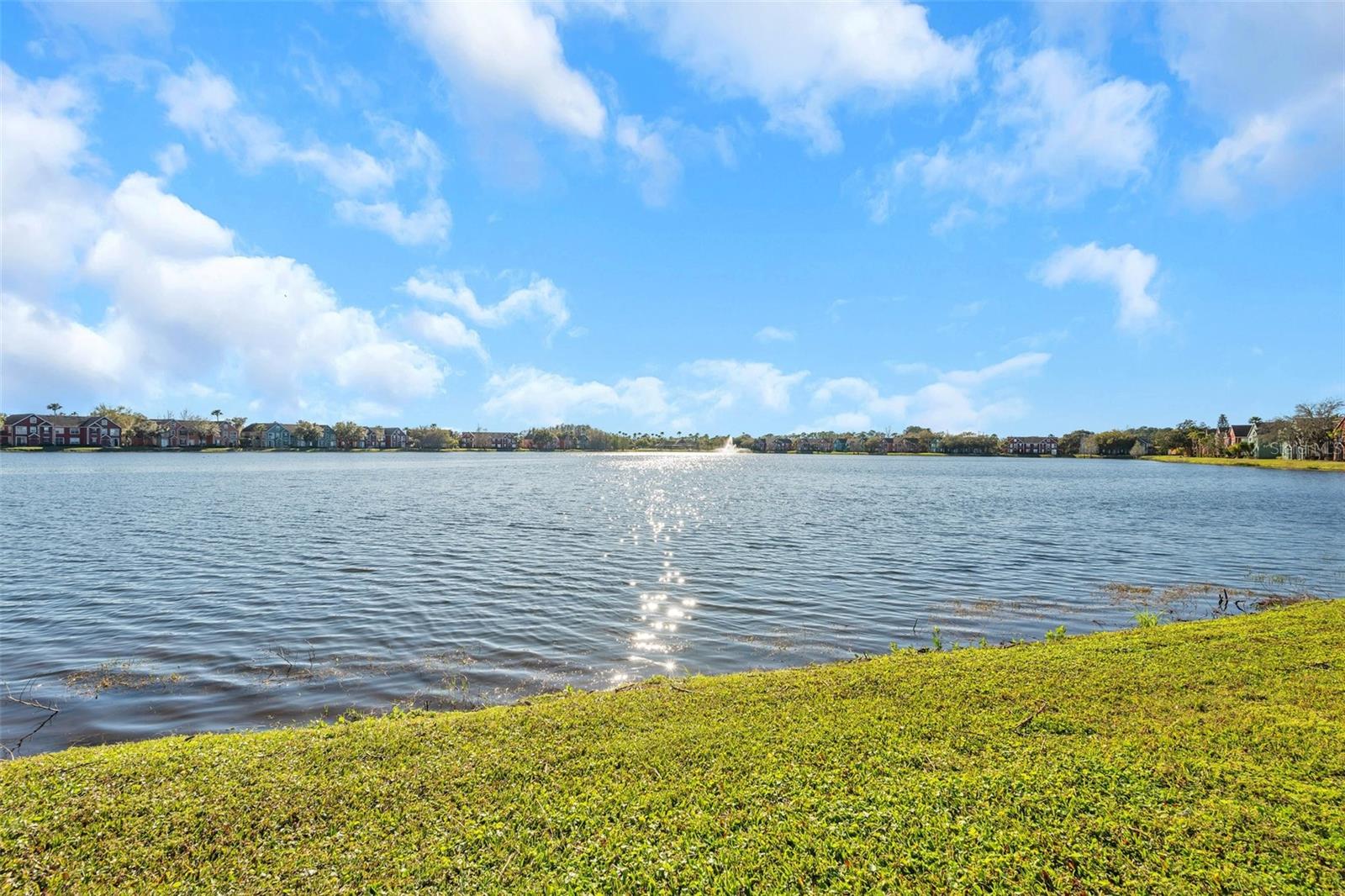 9036 LAKE CHASE ISLAND WAY #9036, TAMPA, FL, 33626