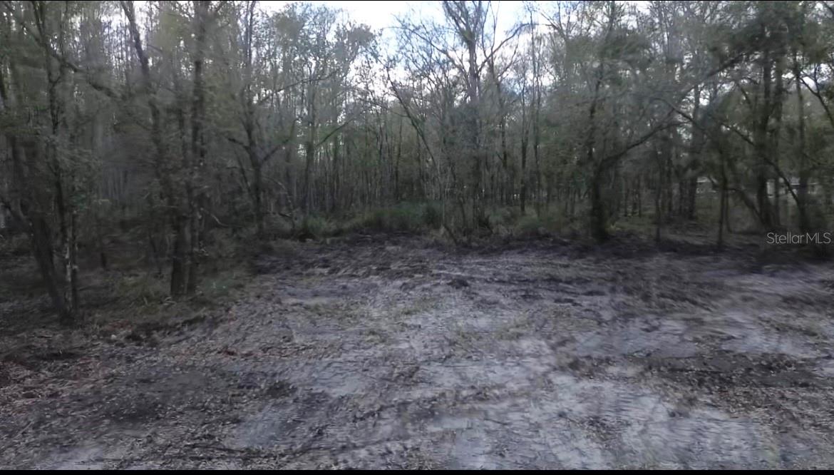 BROKEN ARROW DR., THONOTOSASSA, FL, 33592