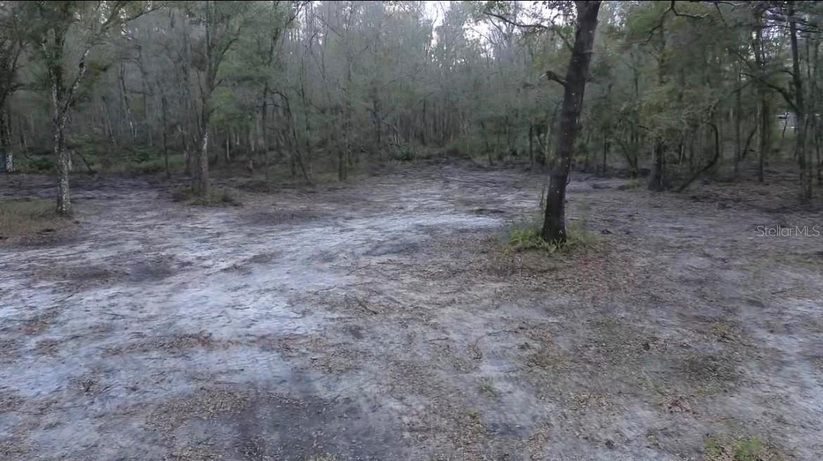 BROKEN ARROW DR., THONOTOSASSA, FL, 33592