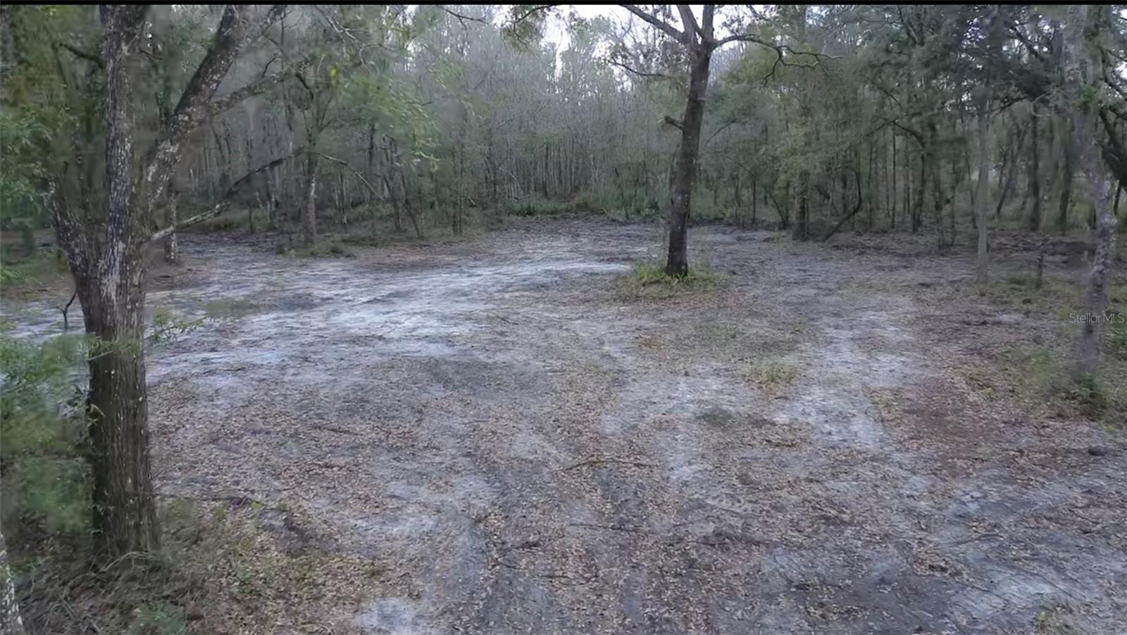 BROKEN ARROW DR., THONOTOSASSA, FL, 33592