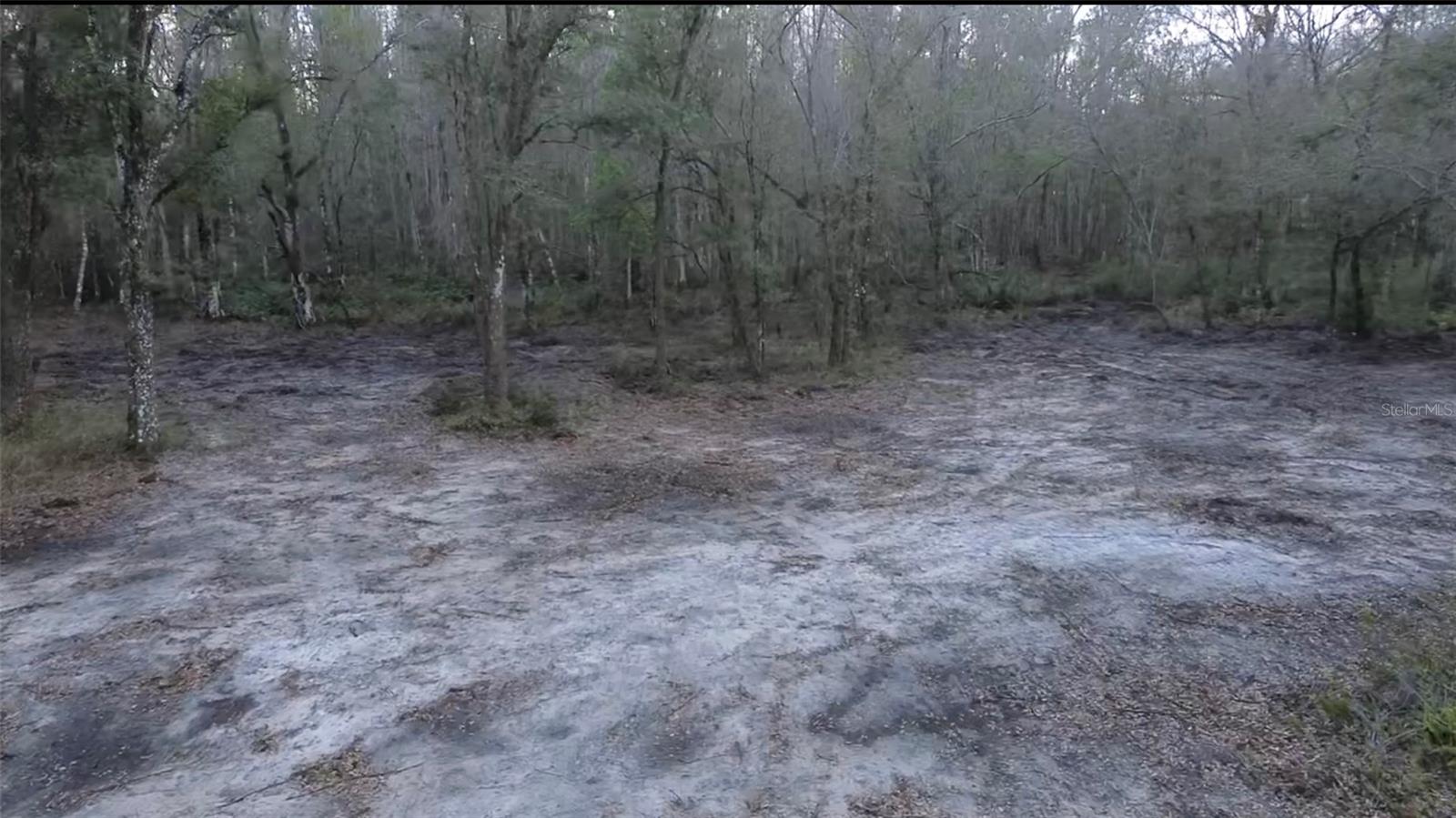 BROKEN ARROW DR., THONOTOSASSA, FL, 33592