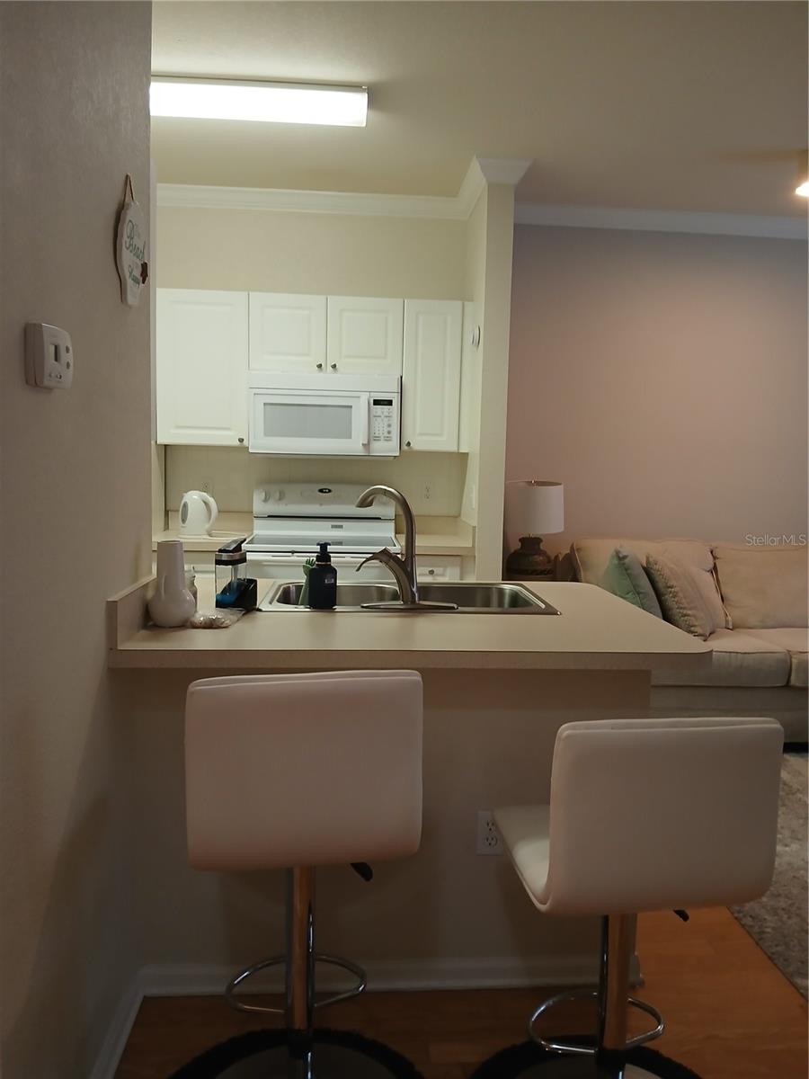 1216 S MISSOURI AVE #218, CLEARWATER, FL, 33756