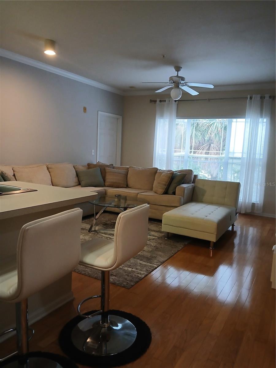 1216 S MISSOURI AVE #218, CLEARWATER, FL, 33756