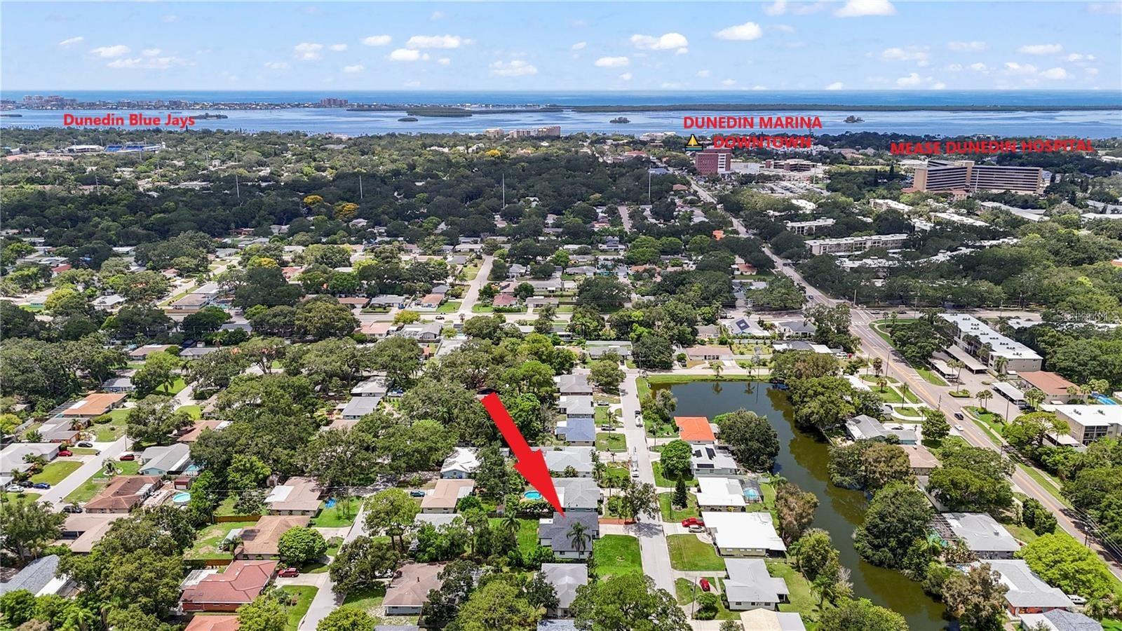 949 LAKE DR, DUNEDIN, FL, 34698