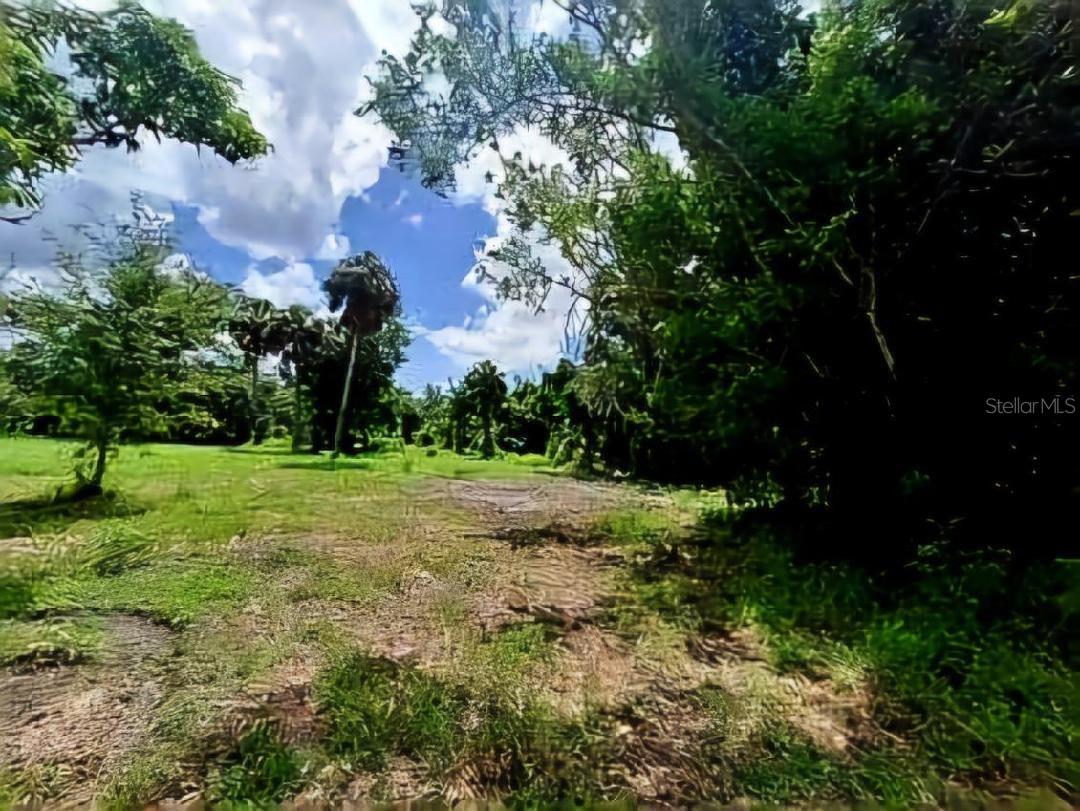 6322 SCOTT ST, PUNTA GORDA, FL, 33950