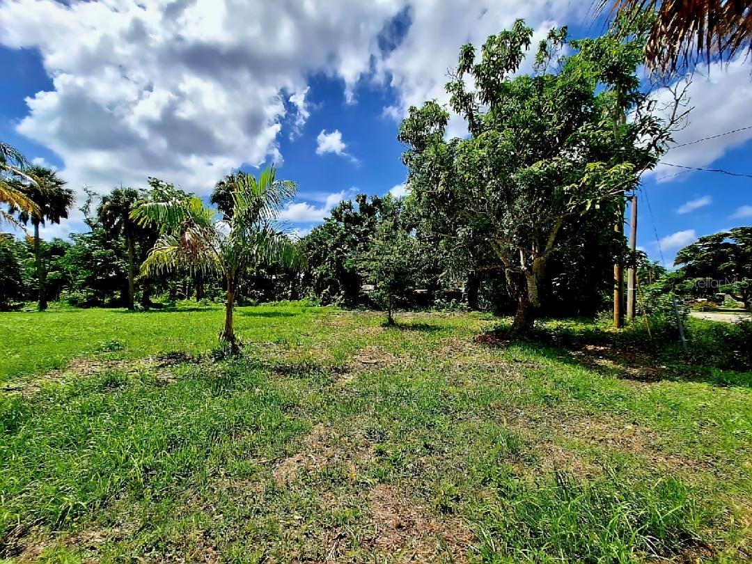 6322 SCOTT ST, PUNTA GORDA, FL, 33950