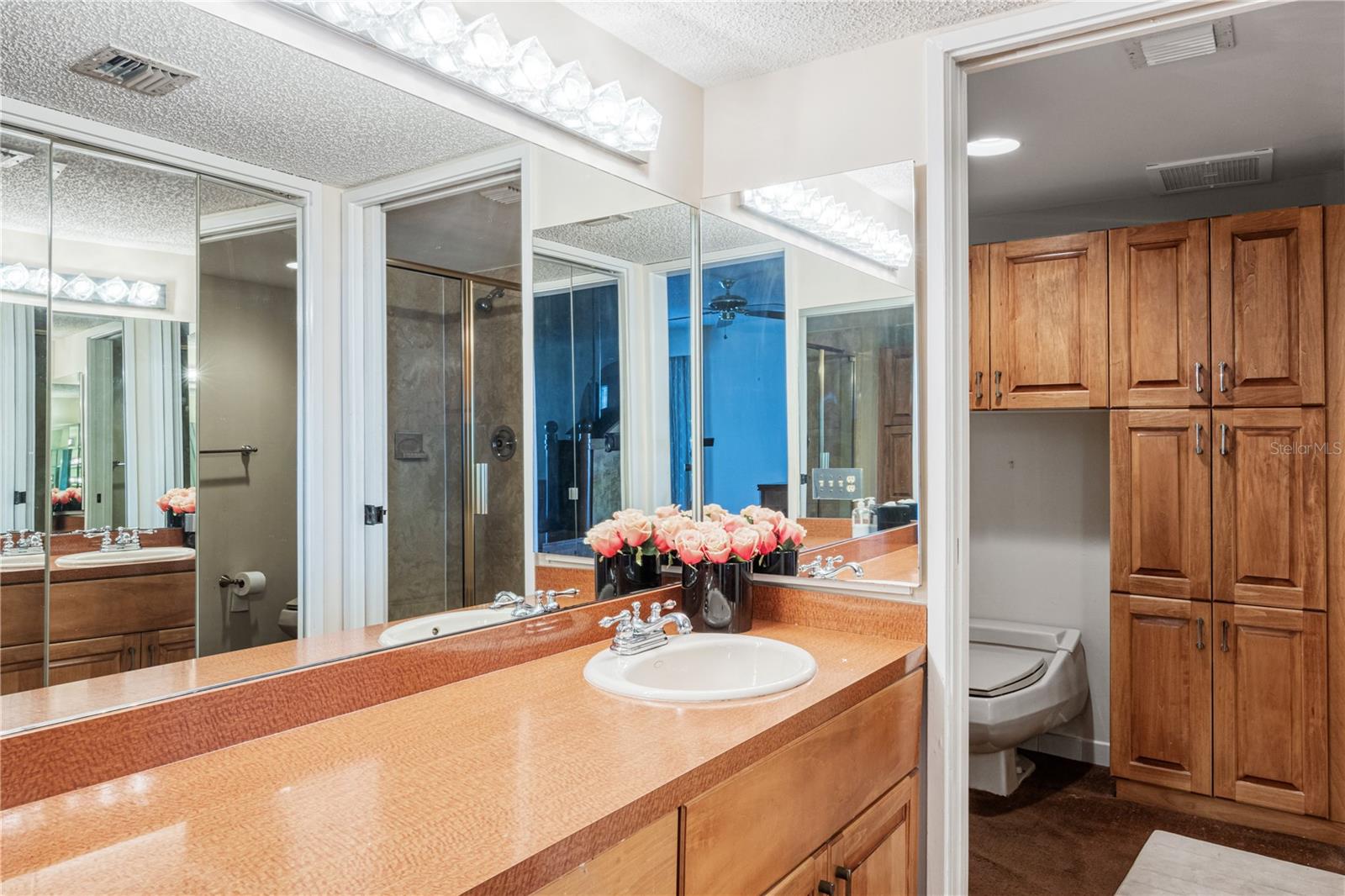 2413 BAYSHORE BLVD #2206, TAMPA, FL, 33629