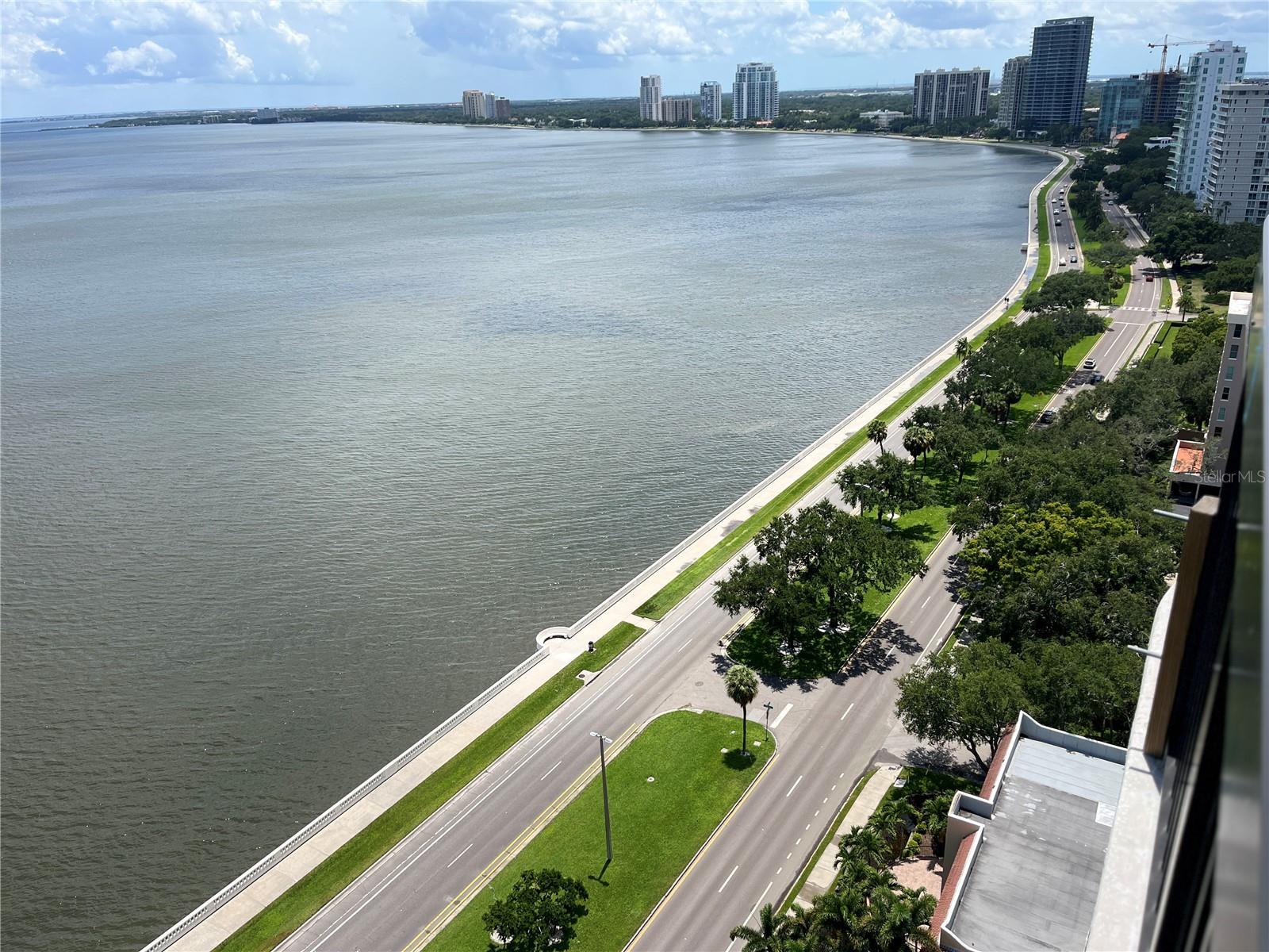 2413 BAYSHORE BLVD #2206, TAMPA, FL, 33629