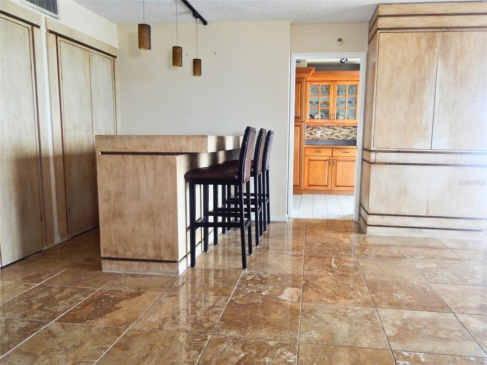 2413 BAYSHORE BLVD #2206, TAMPA, FL, 33629