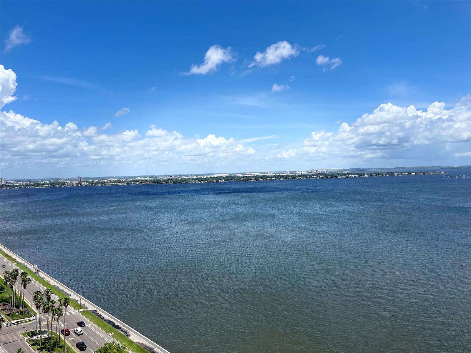 2413 BAYSHORE BLVD #2206, TAMPA, FL, 33629