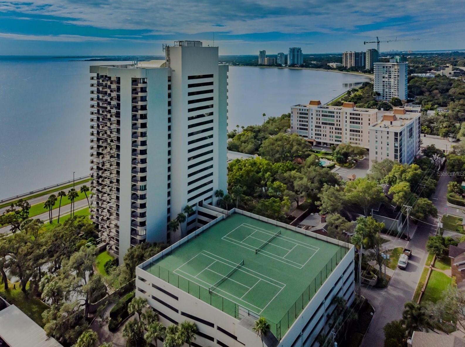 2413 BAYSHORE BLVD #2206, TAMPA, FL, 33629