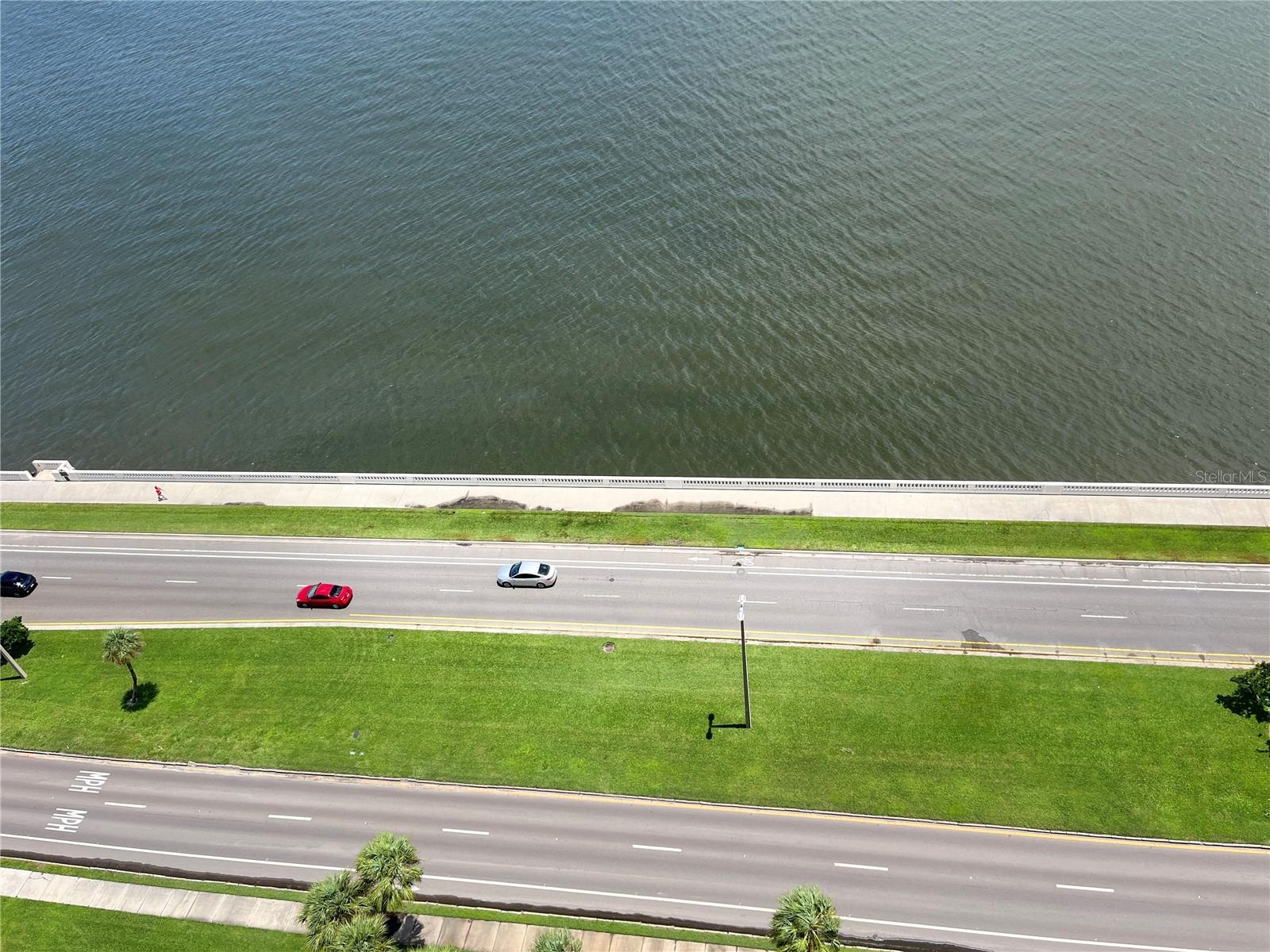 2413 BAYSHORE BLVD #2206, TAMPA, FL, 33629
