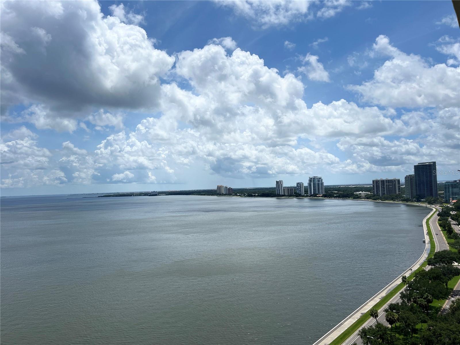 2413 BAYSHORE BLVD #2206, TAMPA, FL, 33629
