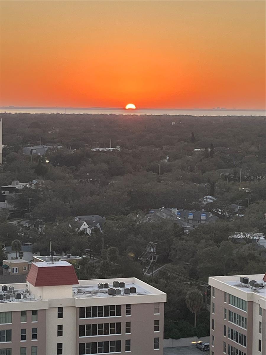 2413 BAYSHORE BLVD #2206, TAMPA, FL, 33629