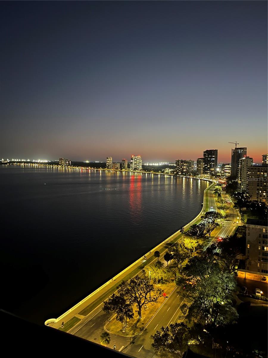 2413 BAYSHORE BLVD #2206, TAMPA, FL, 33629