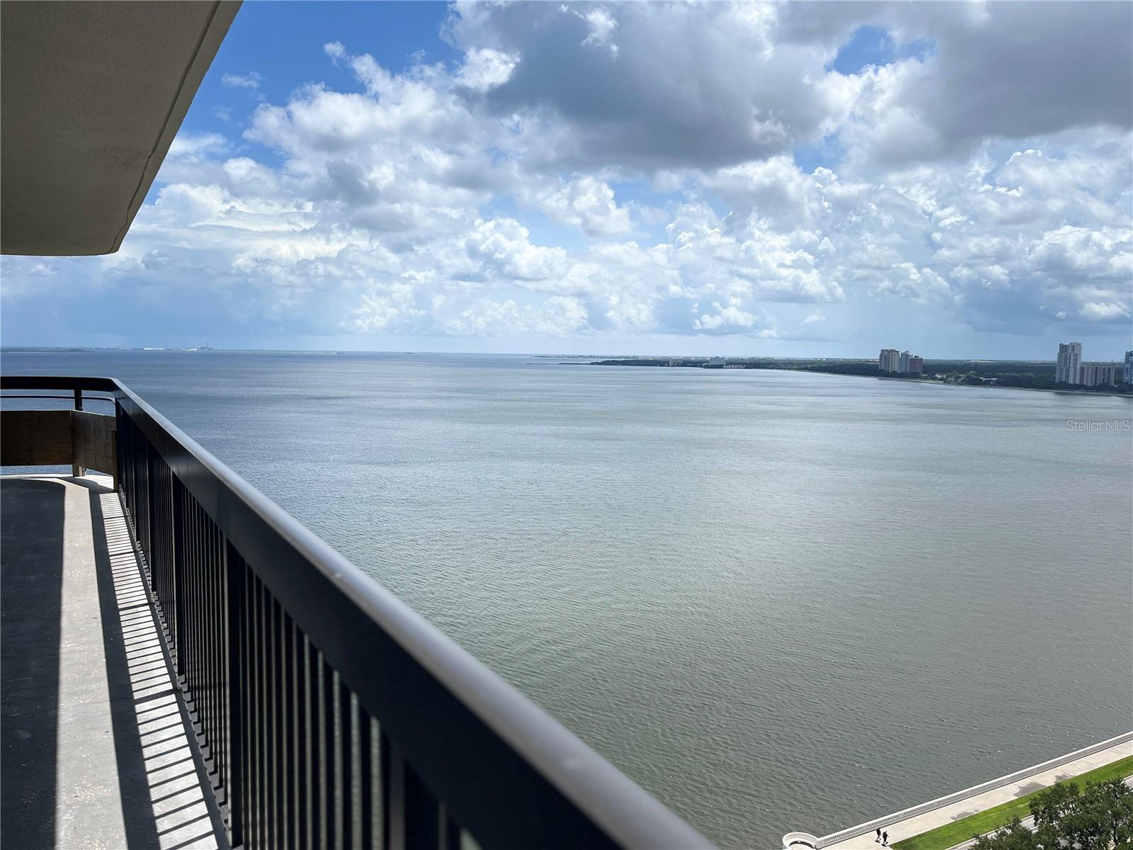 2413 BAYSHORE BLVD #2206, TAMPA, FL, 33629