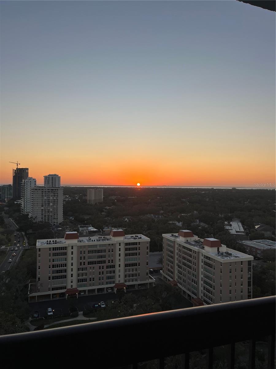2413 BAYSHORE BLVD #2206, TAMPA, FL, 33629