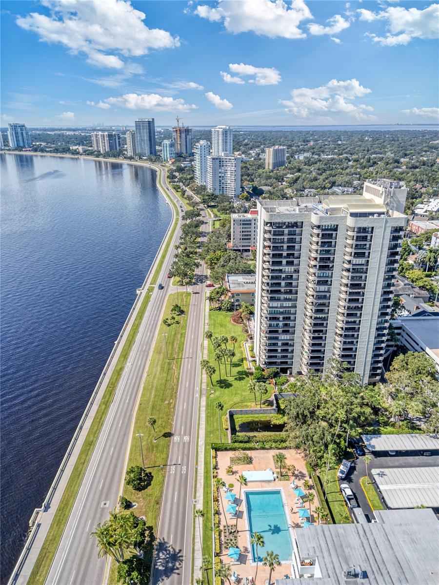 2413 BAYSHORE BLVD #2206, TAMPA, FL, 33629