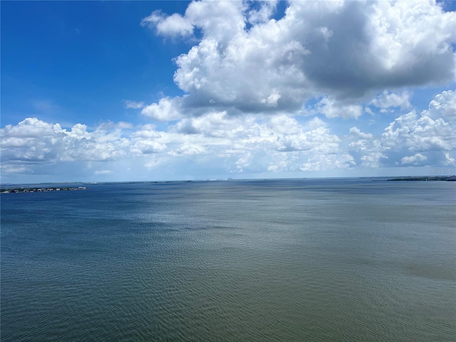 2413 BAYSHORE BLVD #2206, TAMPA, FL, 33629
