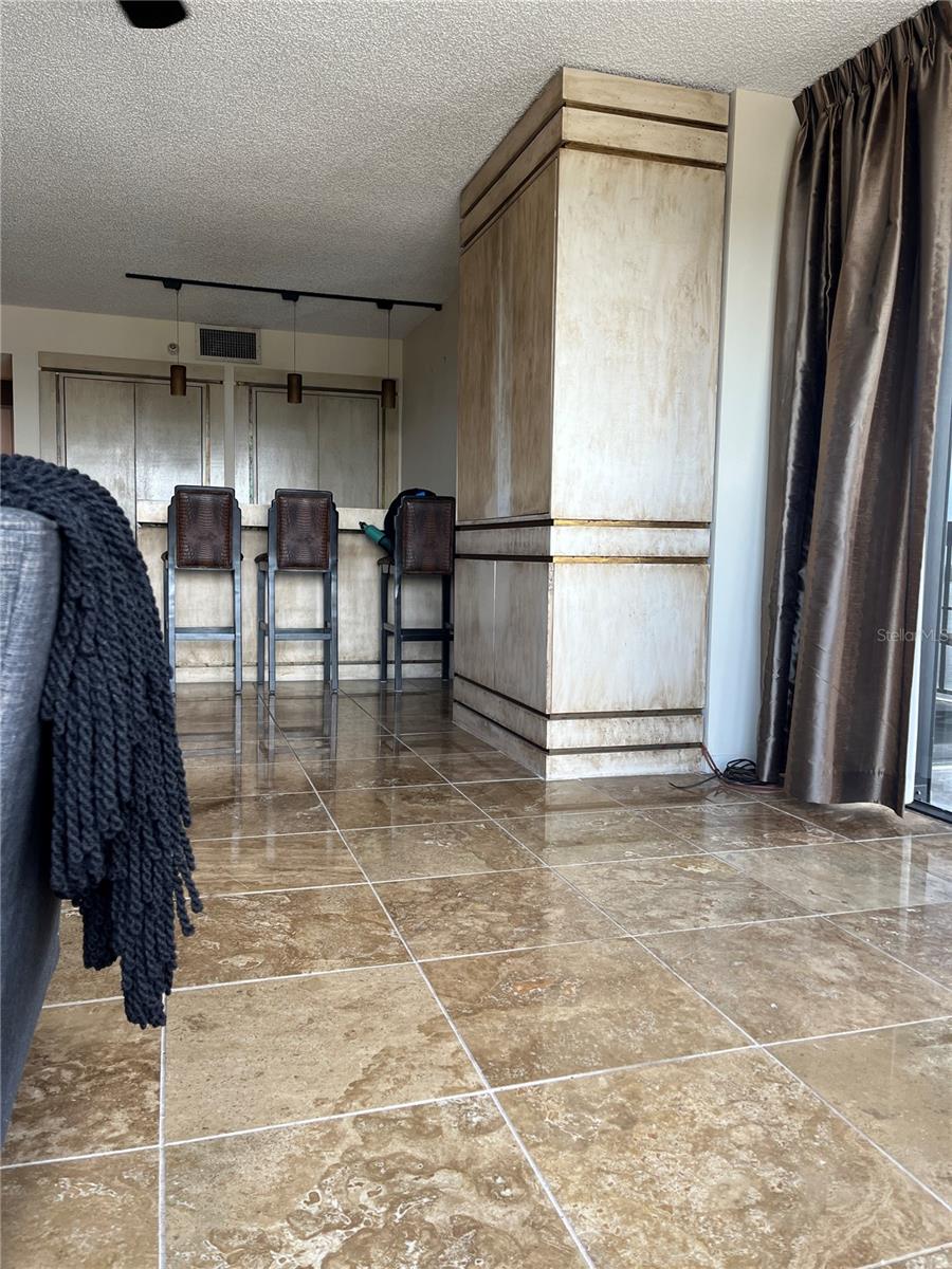2413 BAYSHORE BLVD #2206, TAMPA, FL, 33629