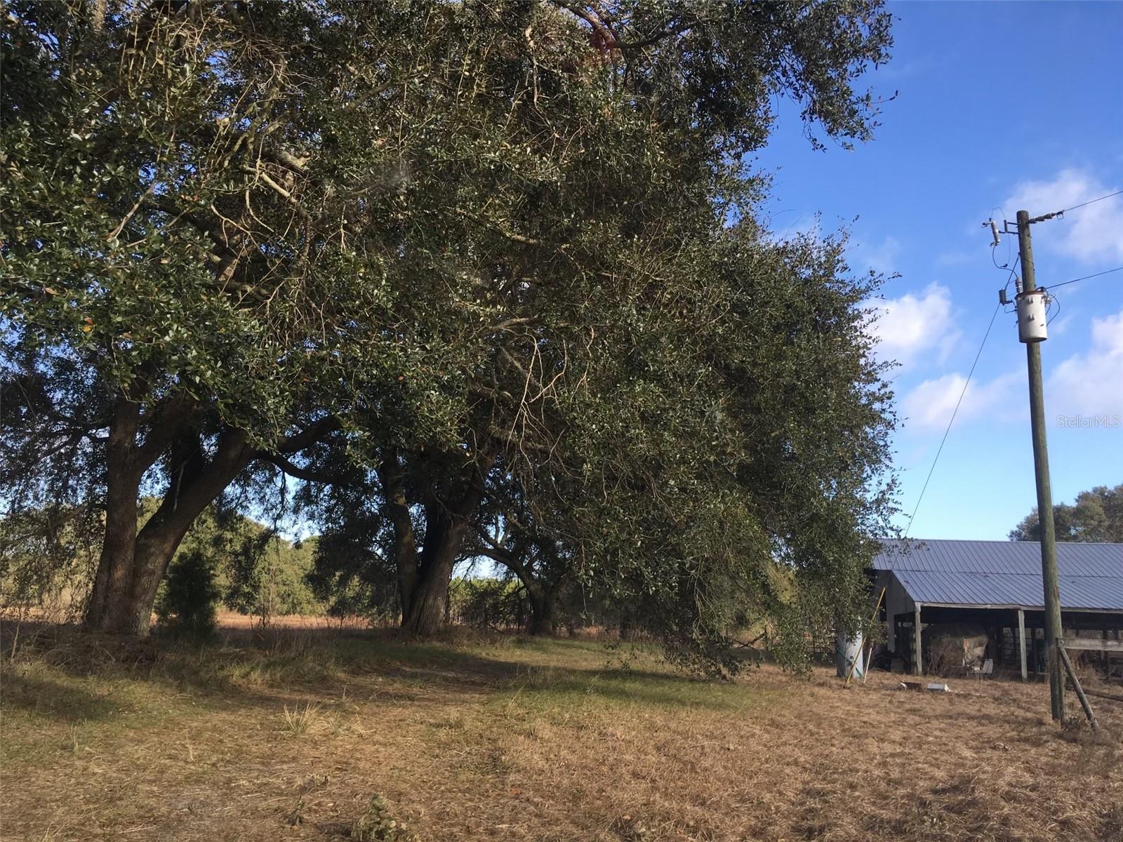 15589 104TH ST, LIVE OAK, FL, 32060