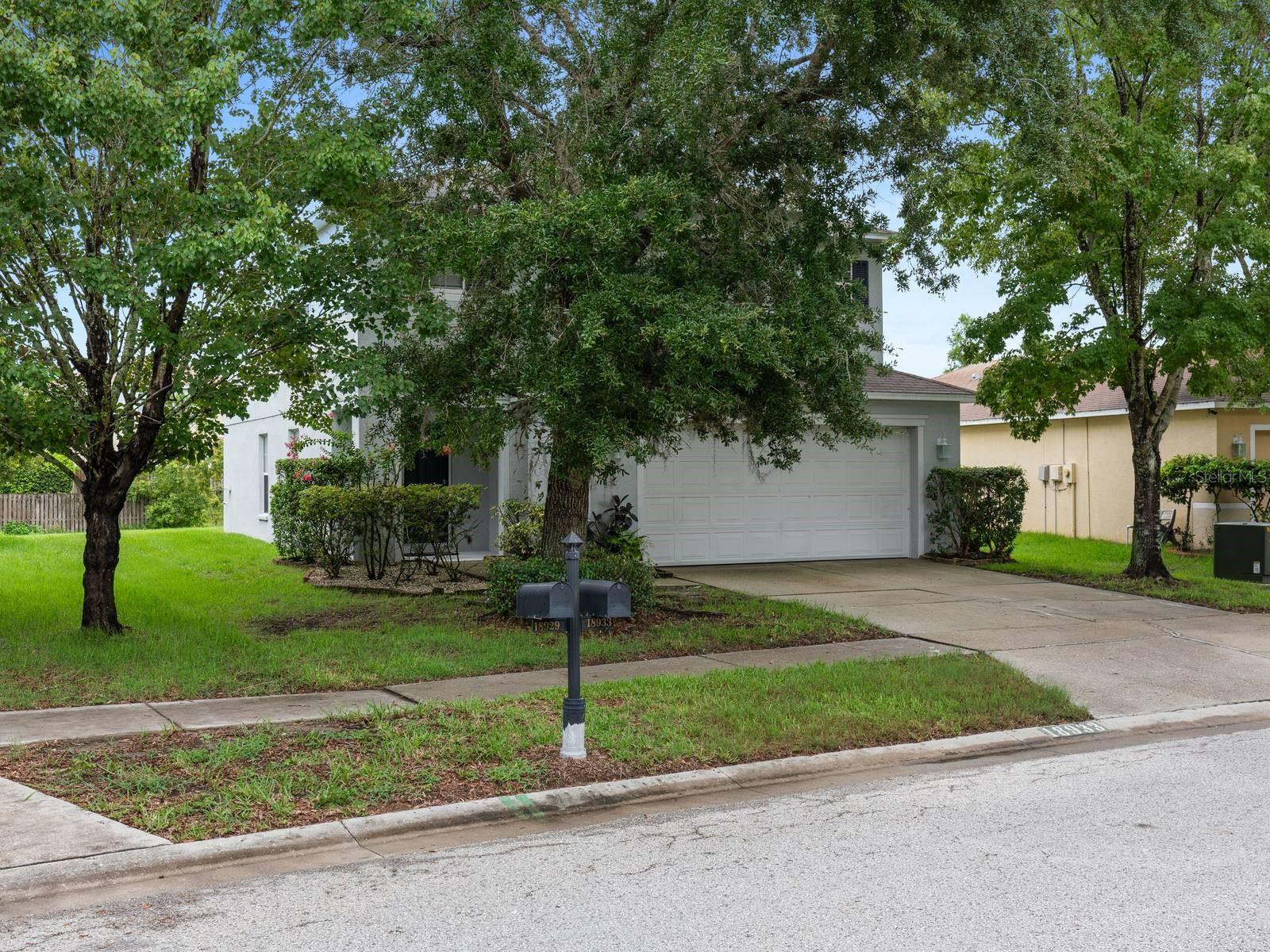 18933 SUNTERRA DR, LAND O LAKES, FL, 34638
