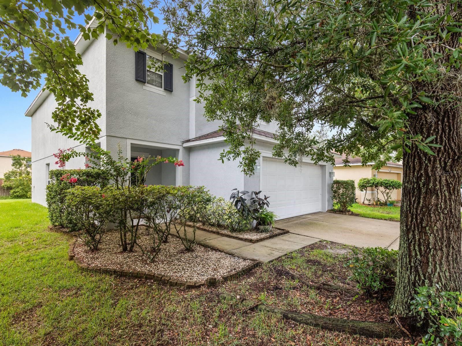 18933 SUNTERRA DR, LAND O LAKES, FL, 34638