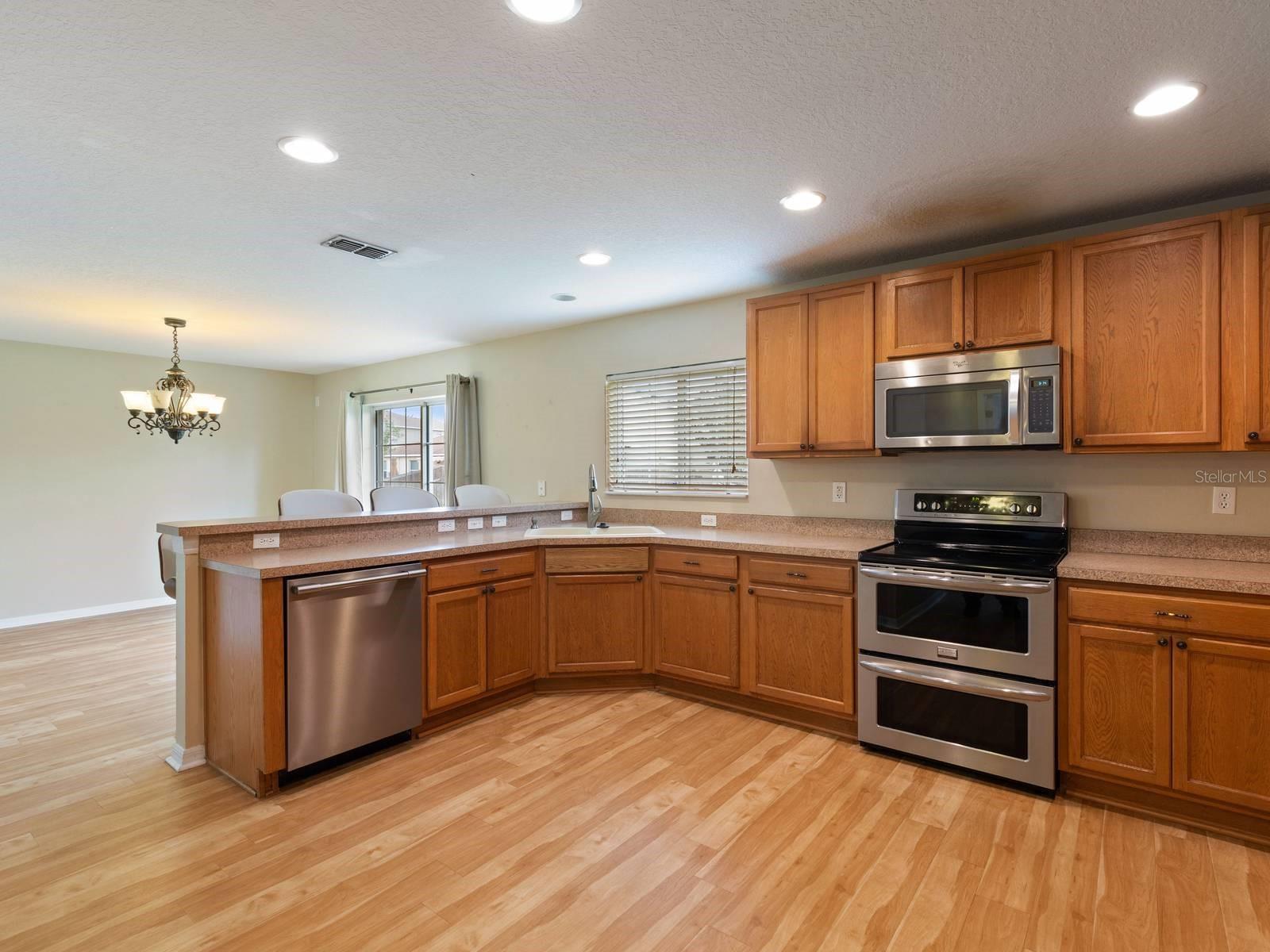 18933 SUNTERRA DR, LAND O LAKES, FL, 34638