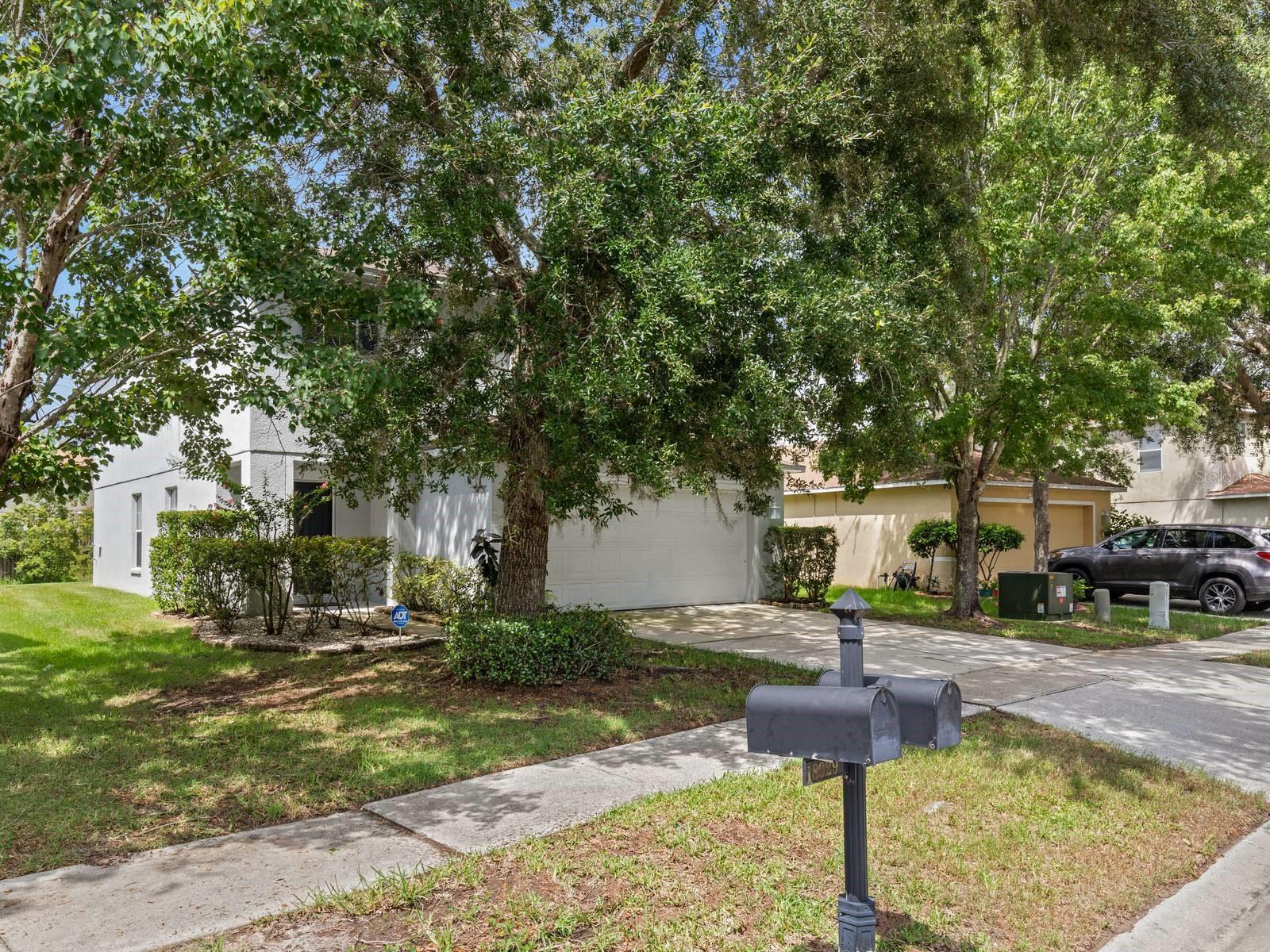 18933 SUNTERRA DR, LAND O LAKES, FL, 34638