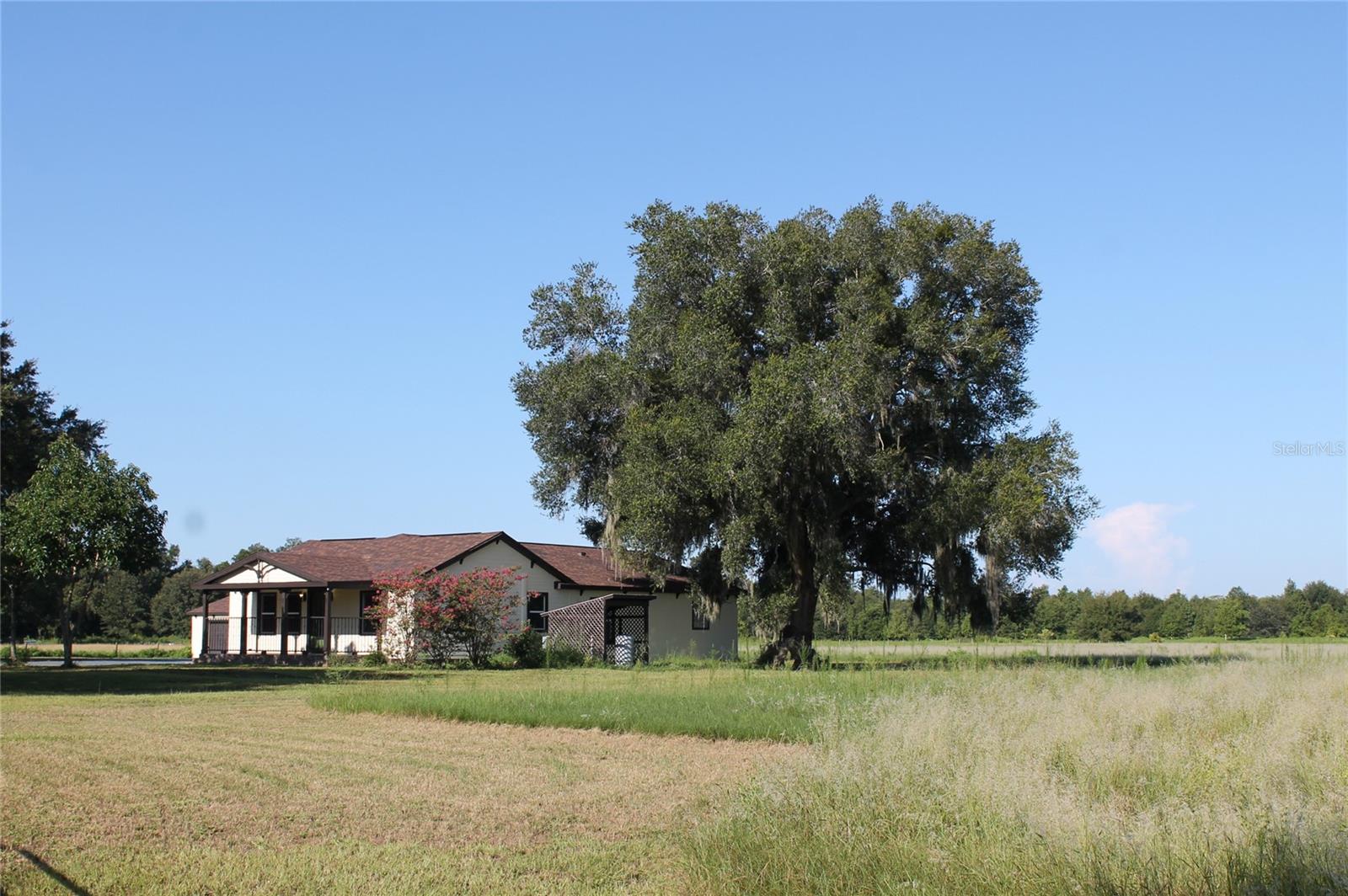 13832 BAY LAKE RD, GROVELAND, FL, 34736