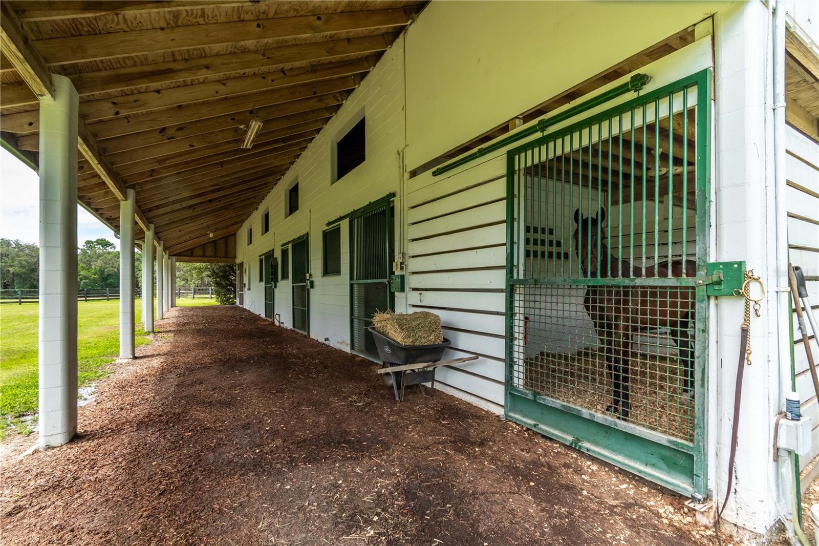 12500 NW 100TH ST, OCALA, FL, 34482