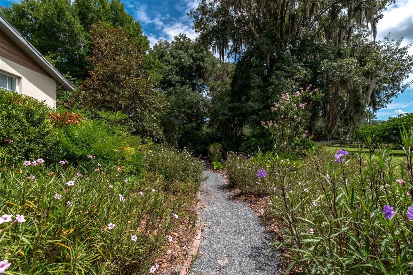 12500 NW 100TH ST, OCALA, FL, 34482