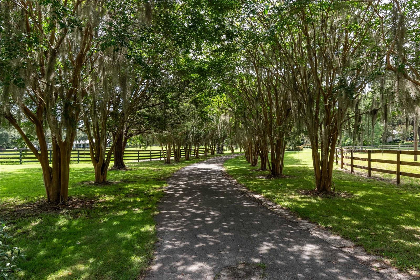 12500 NW 100TH ST, OCALA, FL, 34482