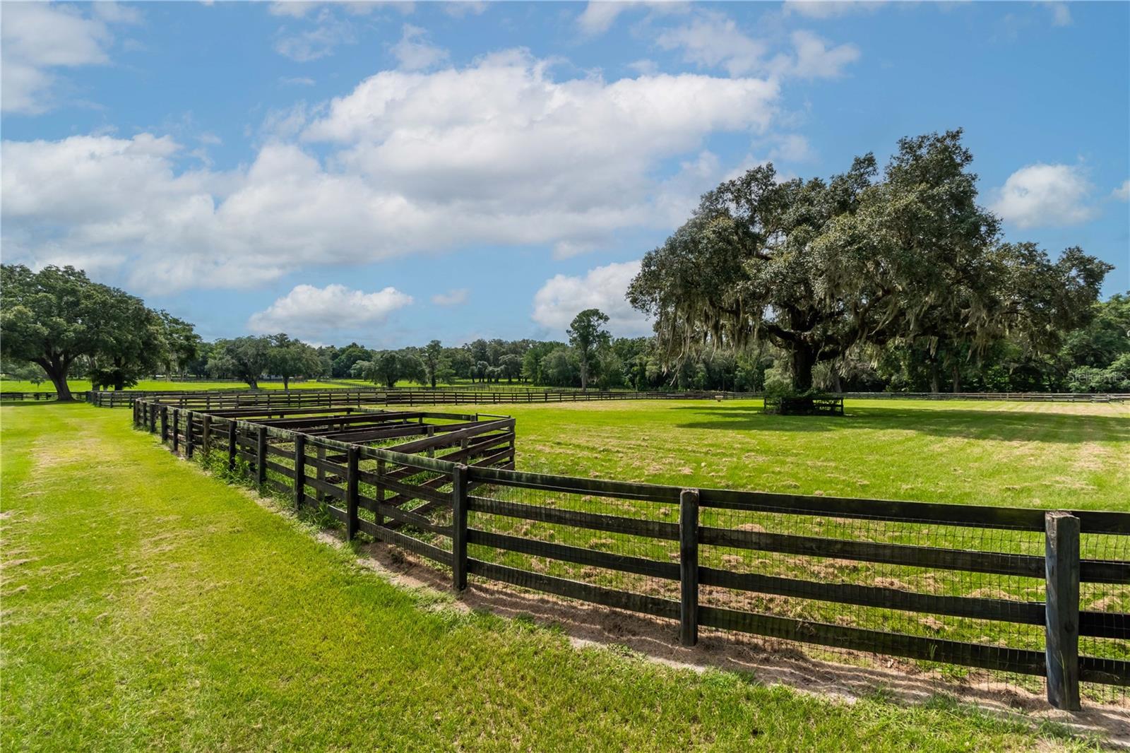 12500 NW 100TH ST, OCALA, FL, 34482