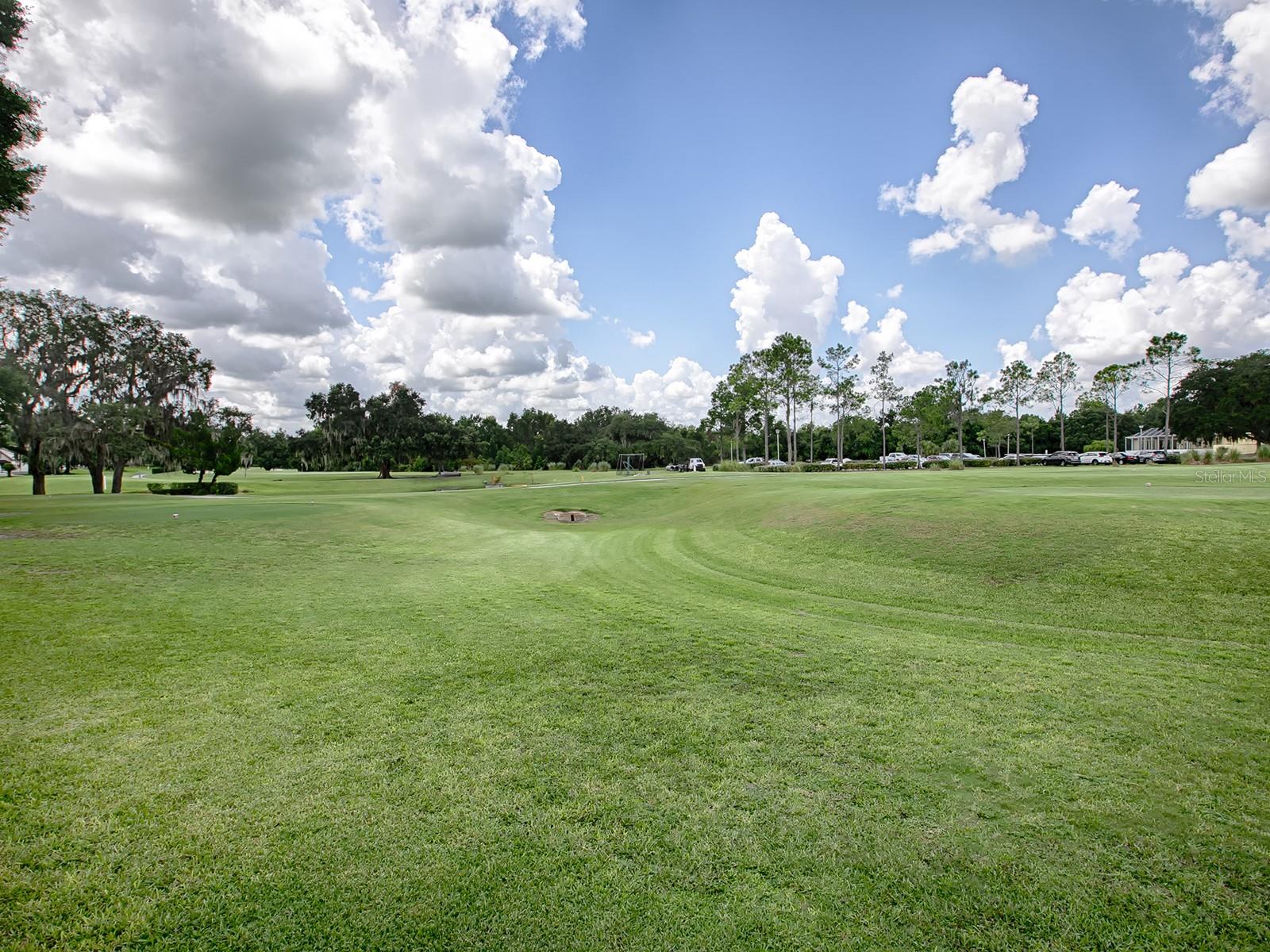 536 GRAND VISTA TRL, LEESBURG, FL, 34748