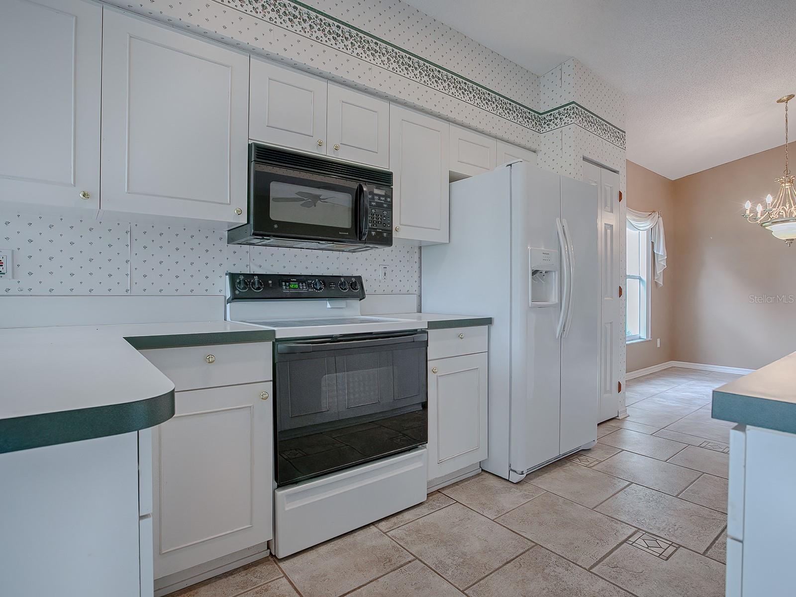 536 GRAND VISTA TRL, LEESBURG, FL, 34748