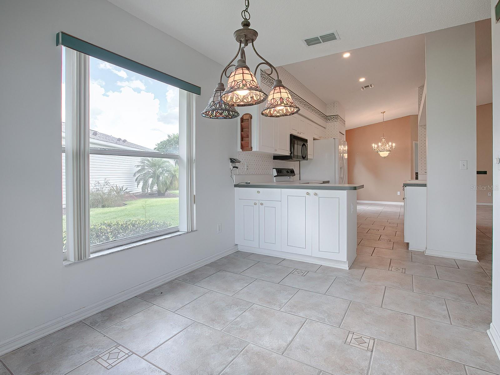 536 GRAND VISTA TRL, LEESBURG, FL, 34748