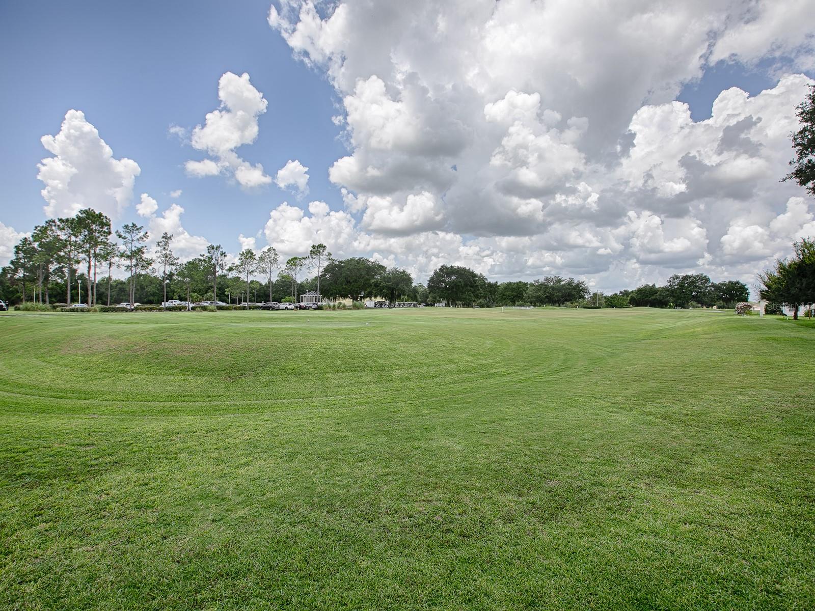 536 GRAND VISTA TRL, LEESBURG, FL, 34748