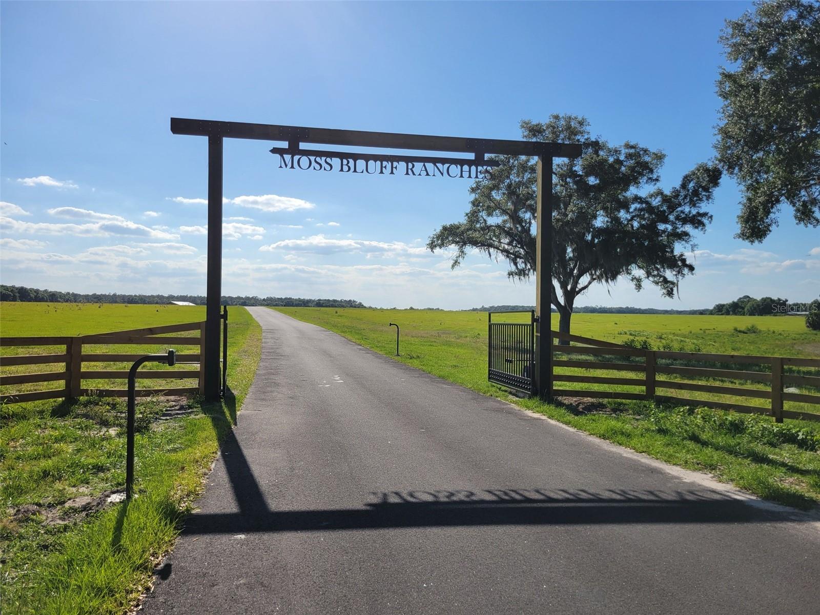 TBD SE 170 AVE RD #Tract A, OCKLAWAHA, FL, 32179