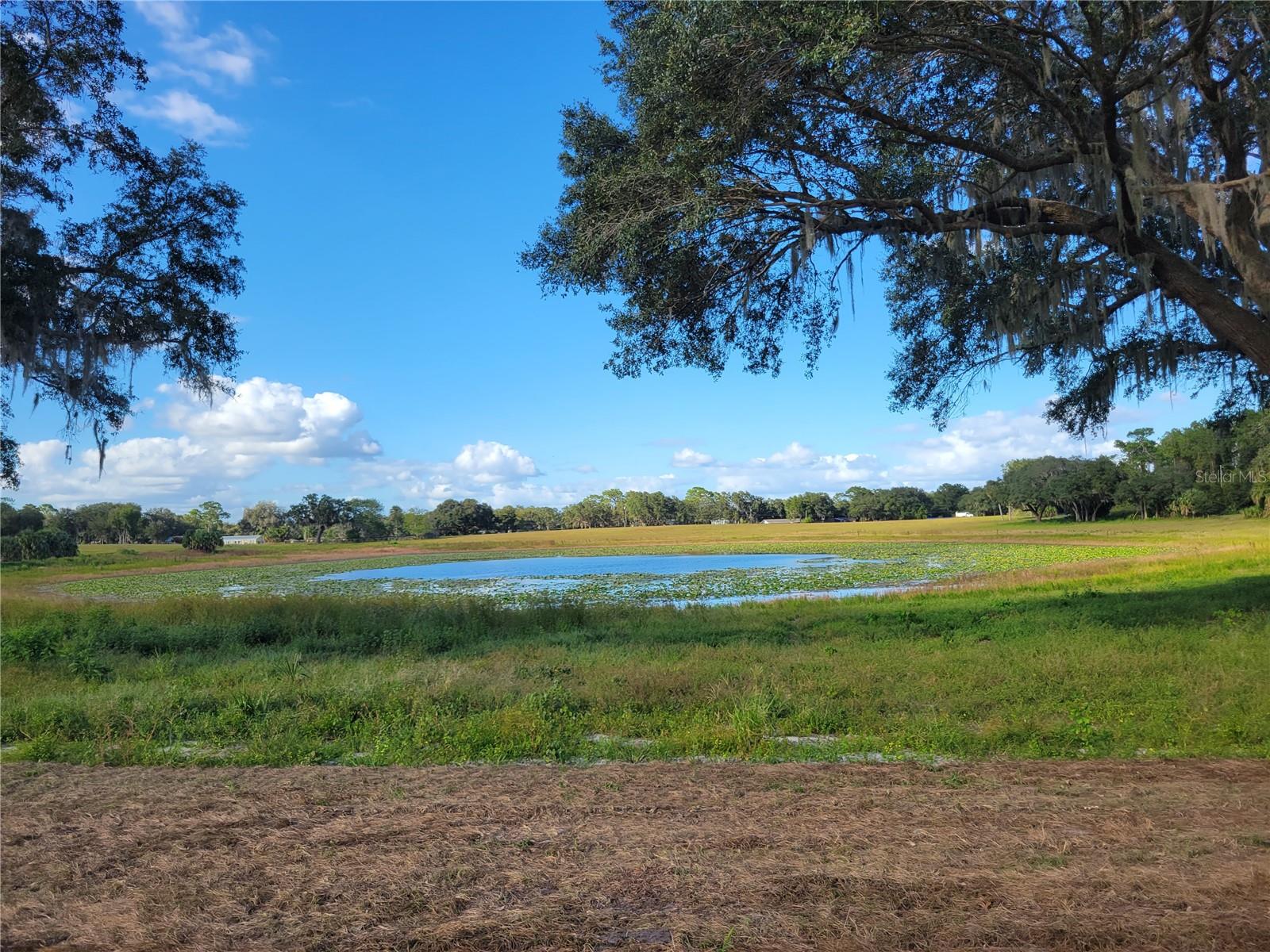 TBD SE 170 AVE RD #Tract A, OCKLAWAHA, FL, 32179