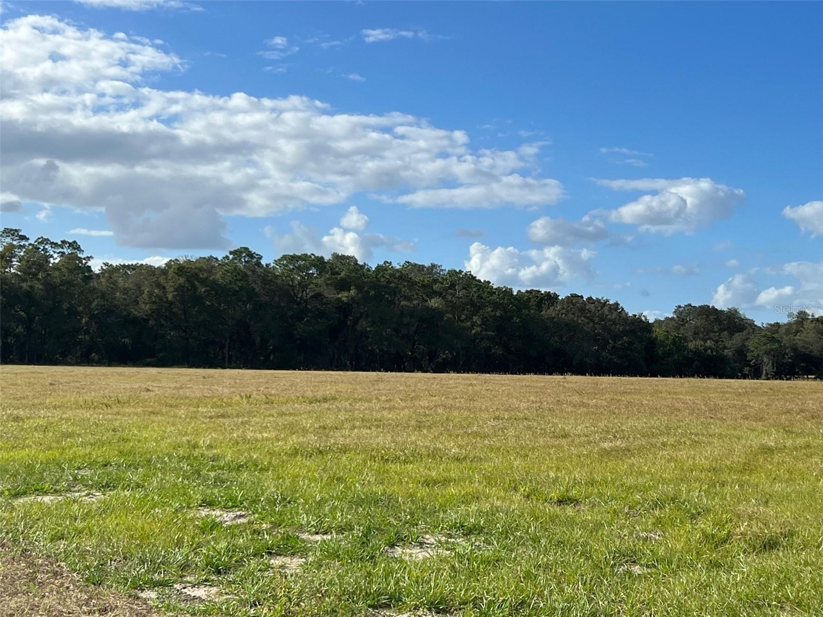 TBD SE 170 AVE RD #Tract A, OCKLAWAHA, FL, 32179