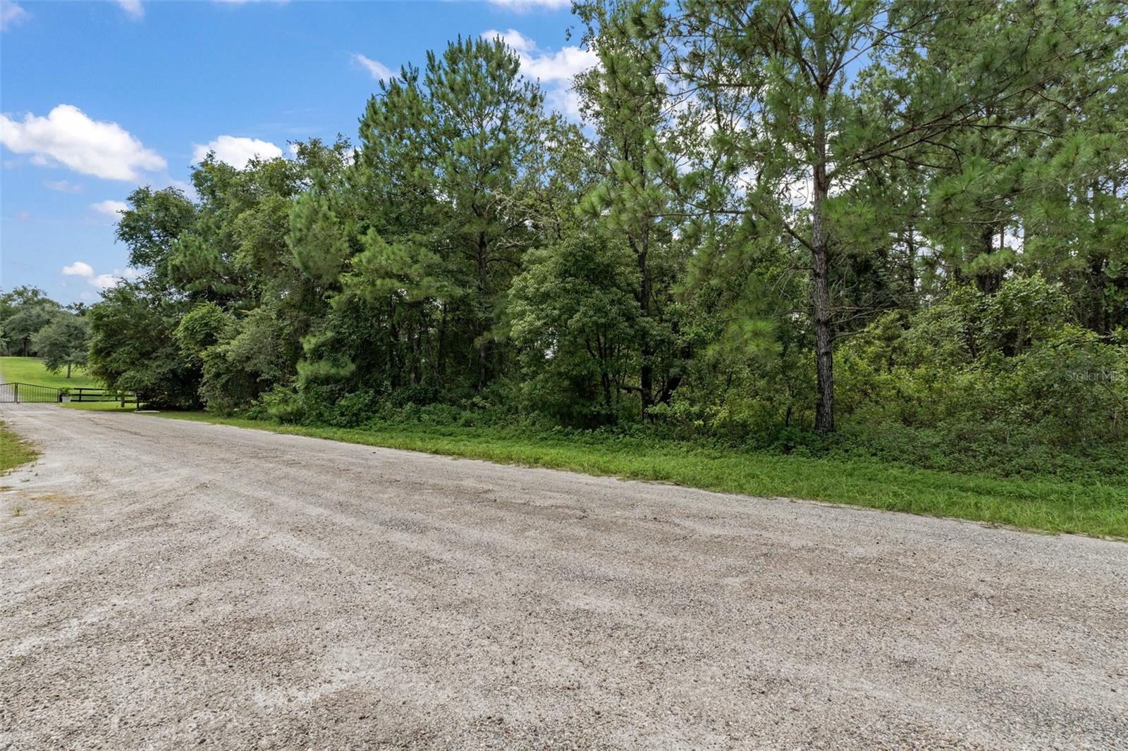 942 E DELLBROOK LN, CITRUS SPRINGS, FL, 34434