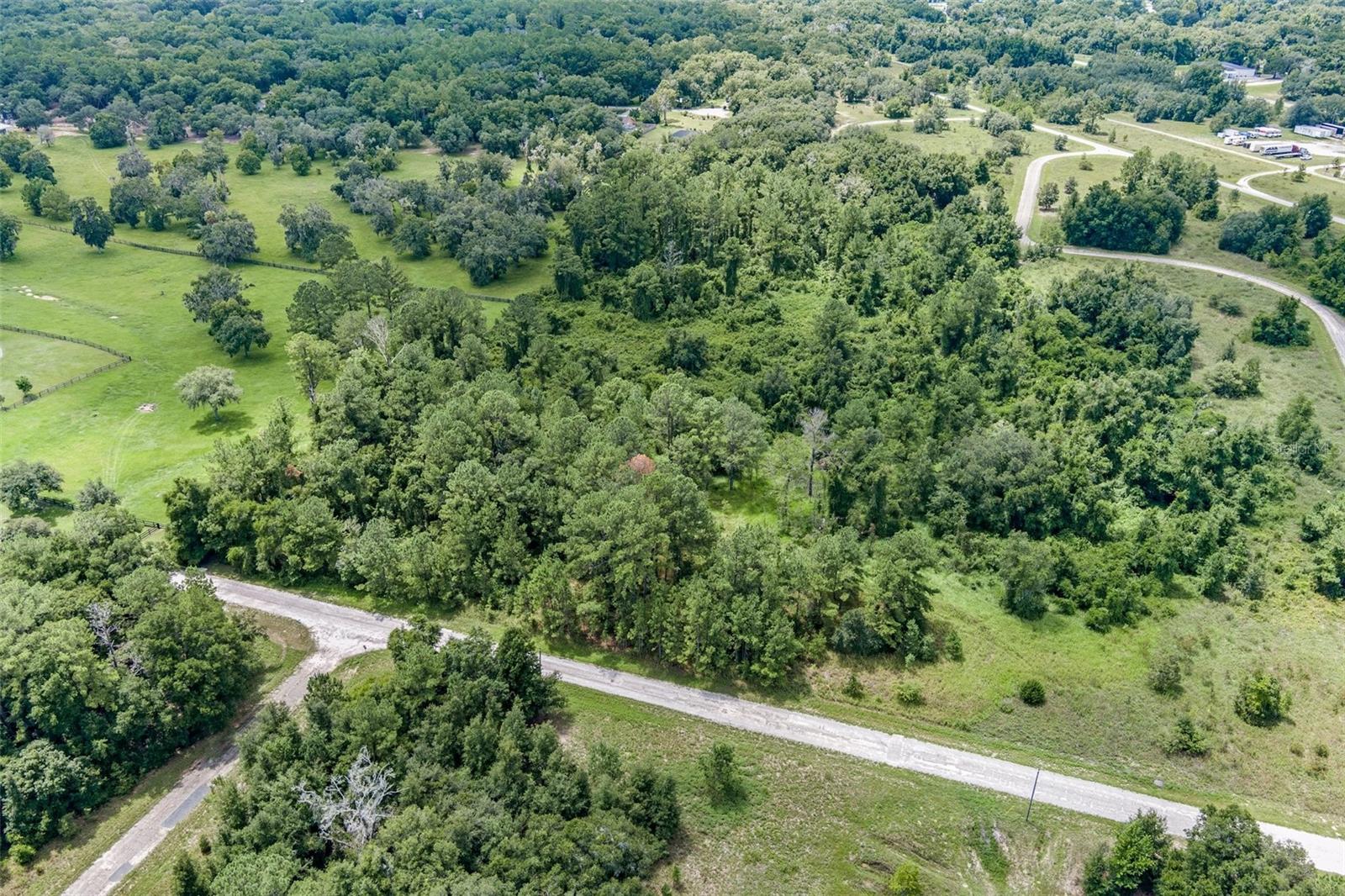942 E DELLBROOK LN, CITRUS SPRINGS, FL, 34434