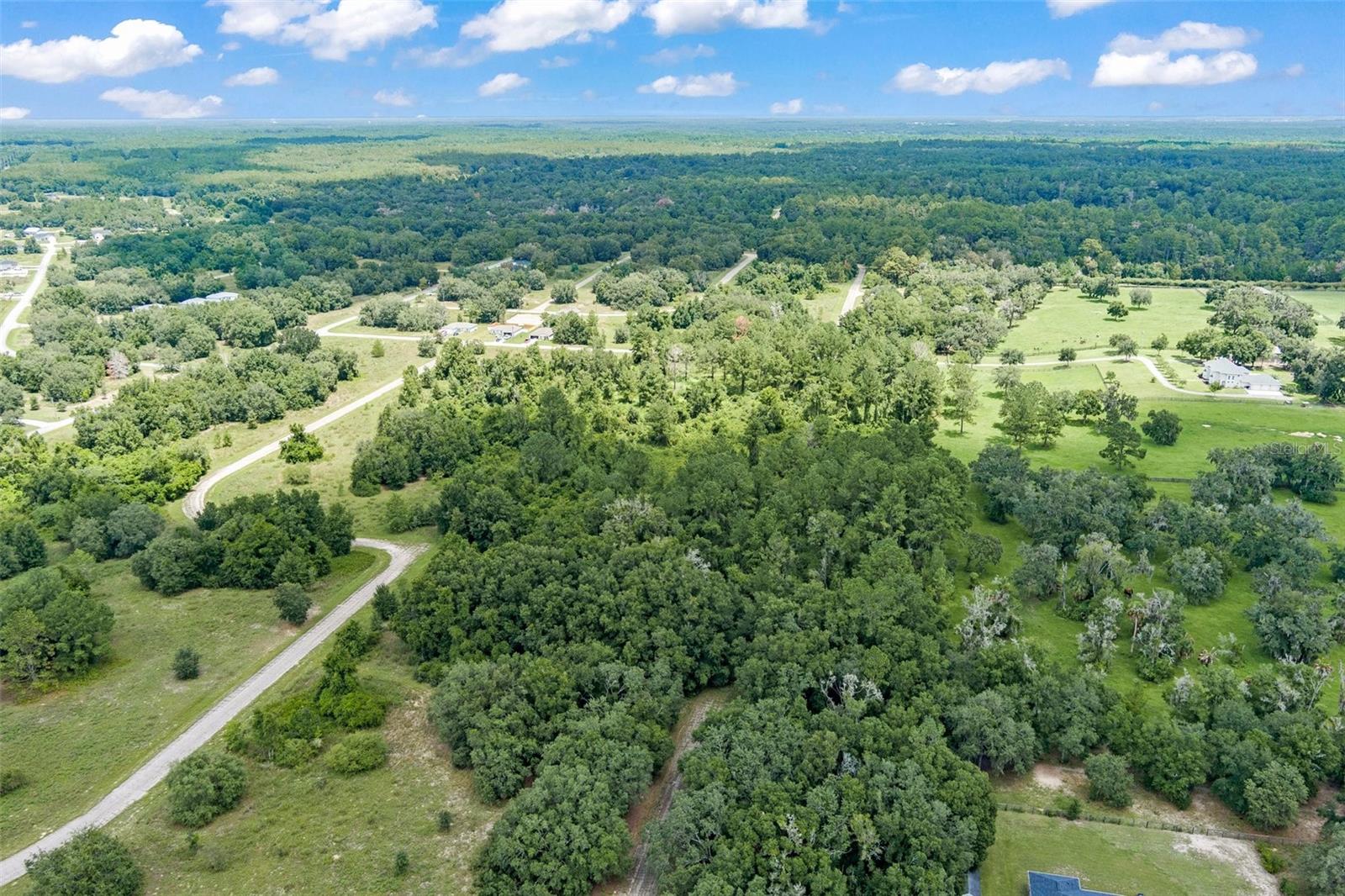 942 E DELLBROOK LN, CITRUS SPRINGS, FL, 34434