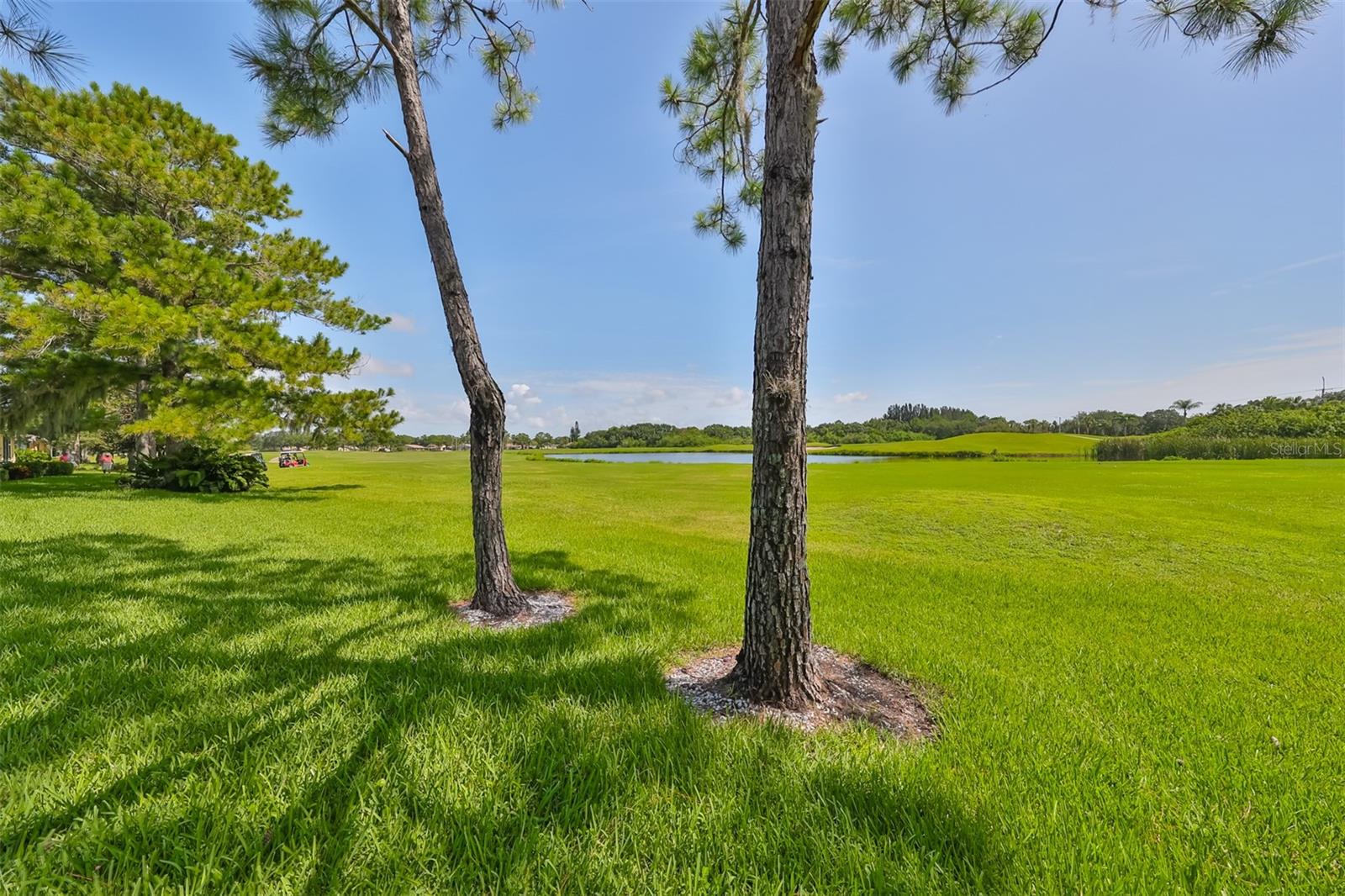 633 TREMONT GREENS LN #16, SUN CITY CENTER, FL, 33573