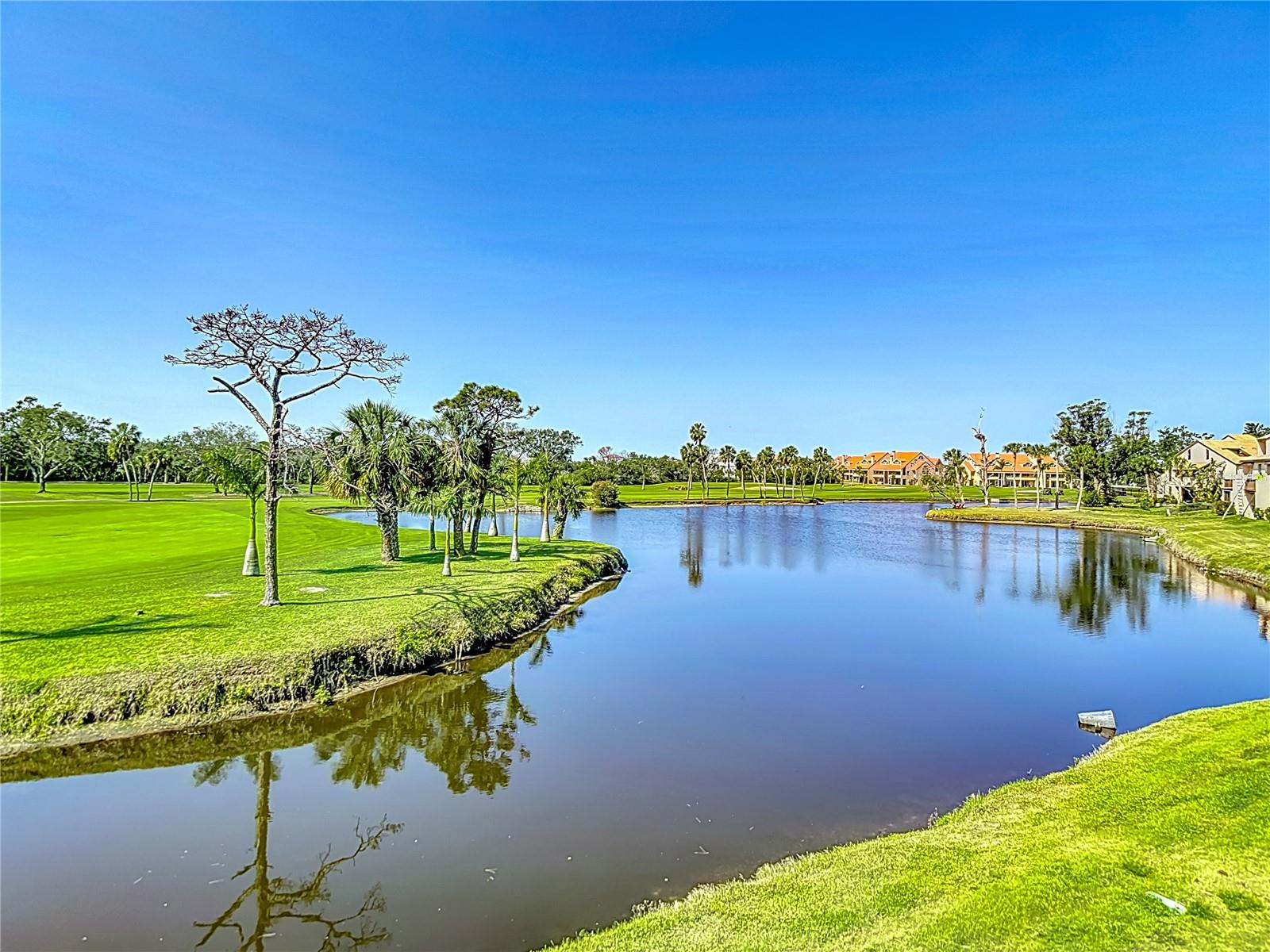 1314 PELICAN CREEK XING #1314, ST PETERSBURG, FL, 33707
