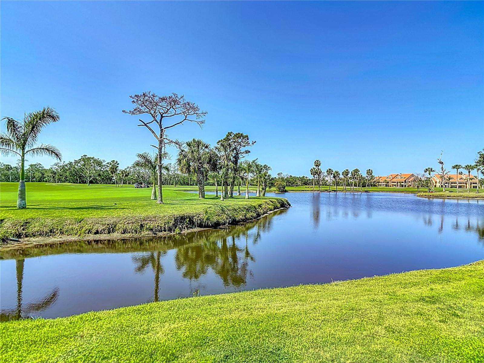 1314 PELICAN CREEK XING #1314, ST PETERSBURG, FL, 33707